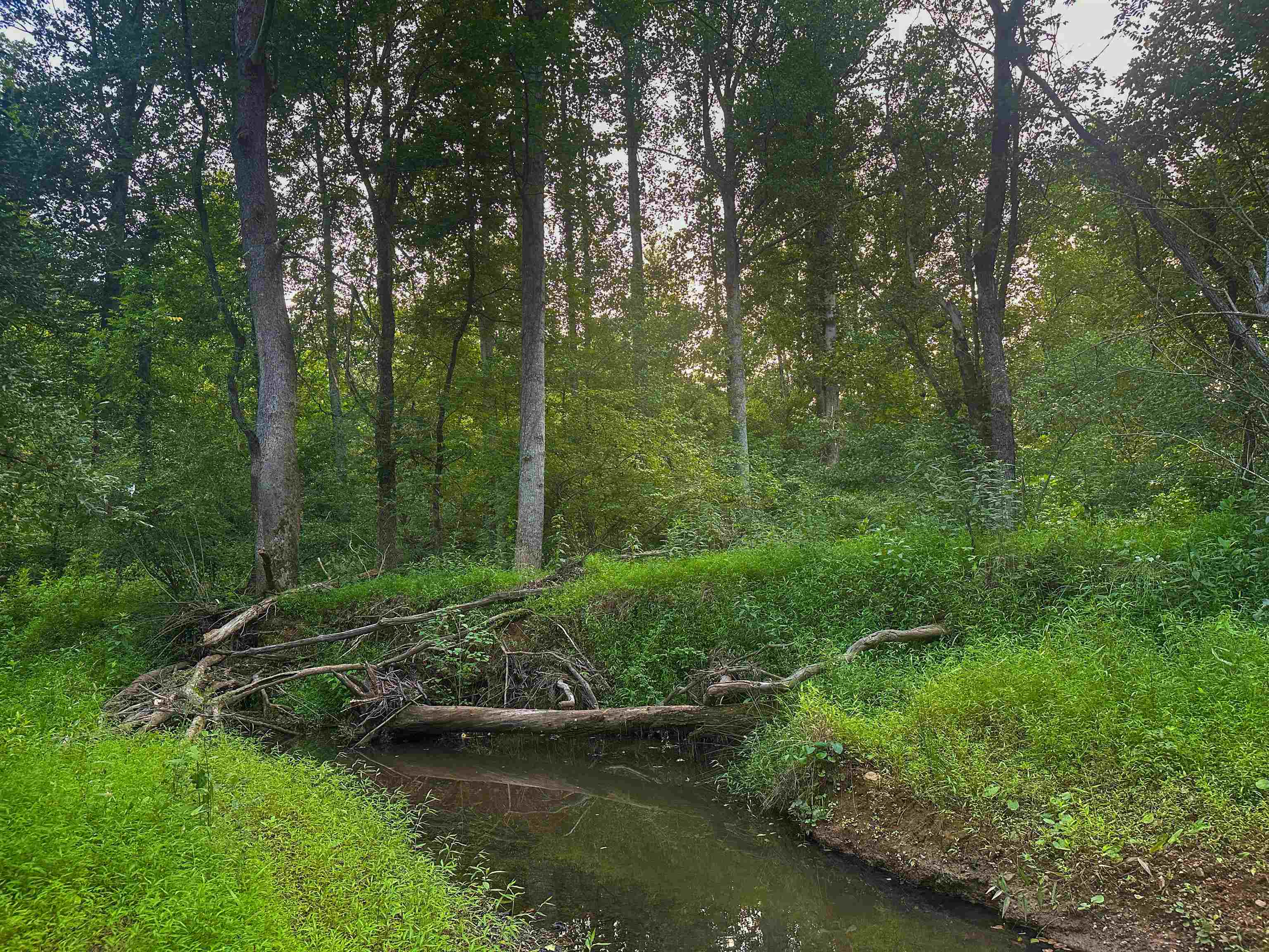 Lot 6 GILBERT STATION RD, BARBOURSVILLE, Virginia 22923, ,Land,Lot 6 GILBERT STATION RD,680432 MLS # 680432 Lot 6 GILBERT STATION RD, BARBOURSVILLE, Virginia 22923, ,Land,Lot 6 GILBERT STATION RD,680432 MLS # 680432