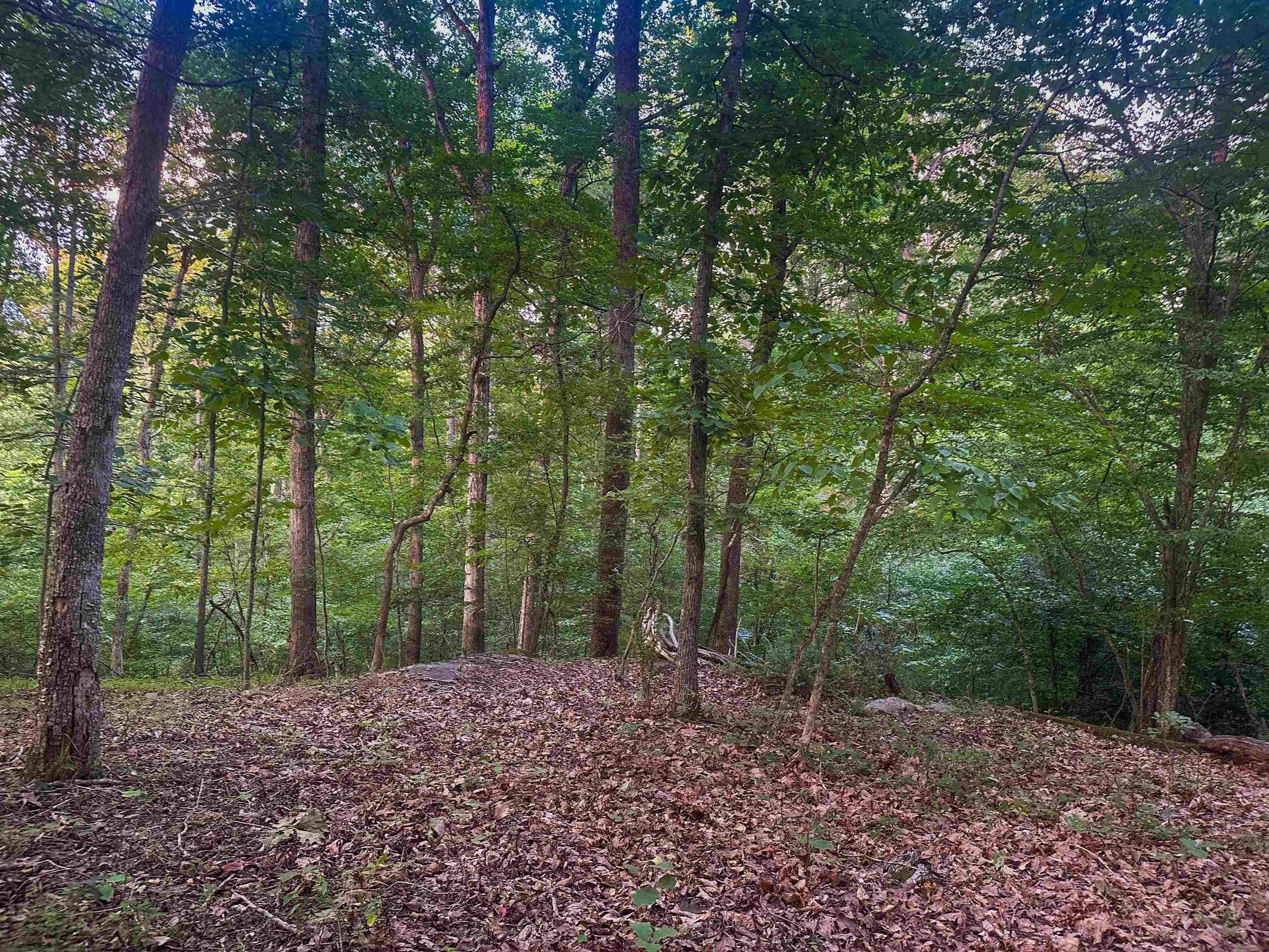 Lot 6 GILBERT STATION RD, BARBOURSVILLE, Virginia 22923, ,Land,Lot 6 GILBERT STATION RD,680432 MLS # 680432 Lot 6 GILBERT STATION RD, BARBOURSVILLE, Virginia 22923, ,Land,Lot 6 GILBERT STATION RD,680432 MLS # 680432