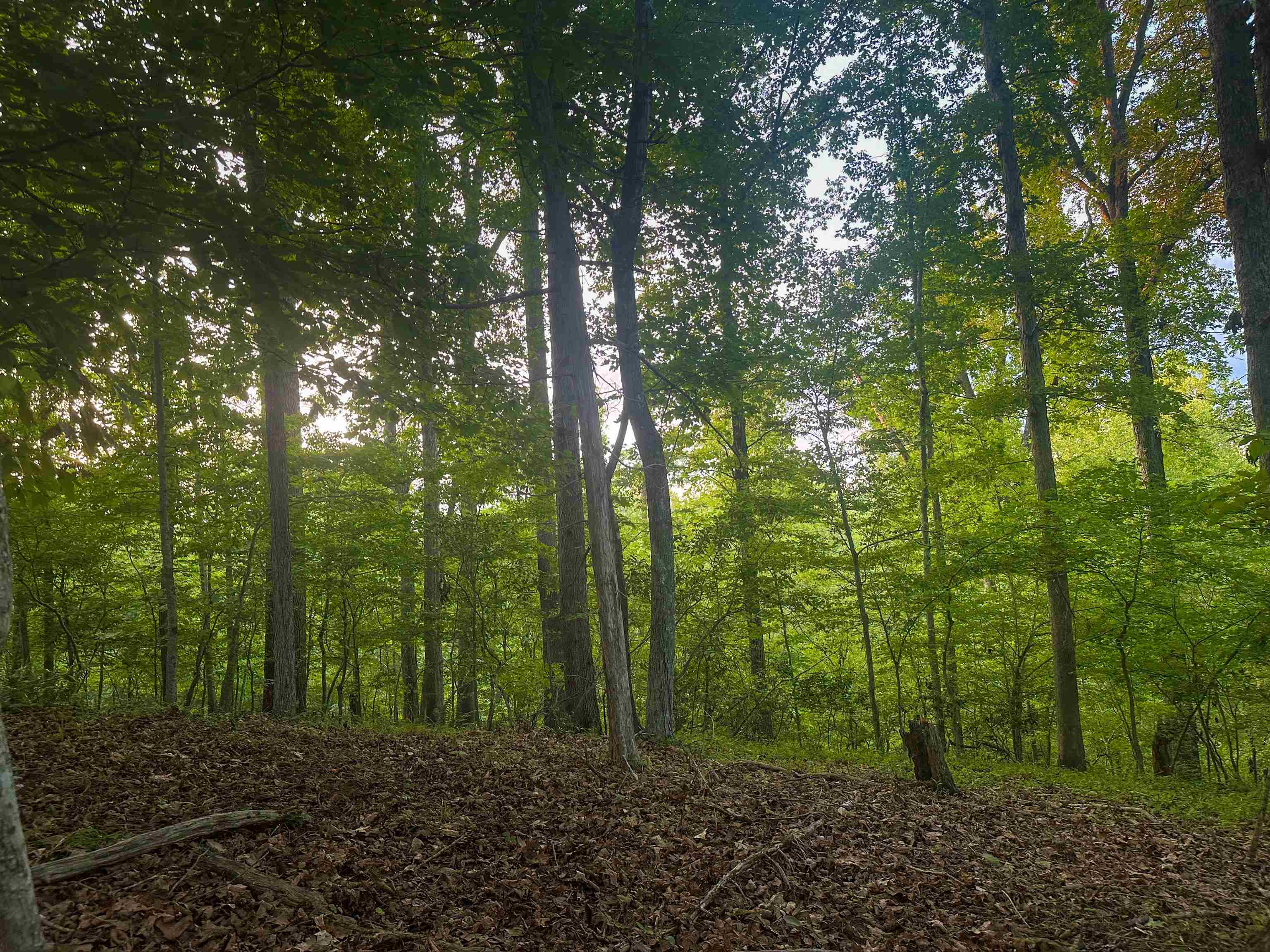 Lot 6 GILBERT STATION RD, BARBOURSVILLE, Virginia 22923, ,Land,Lot 6 GILBERT STATION RD,680432 MLS # 680432 Lot 6 GILBERT STATION RD, BARBOURSVILLE, Virginia 22923, ,Land,Lot 6 GILBERT STATION RD,680432 MLS # 680432