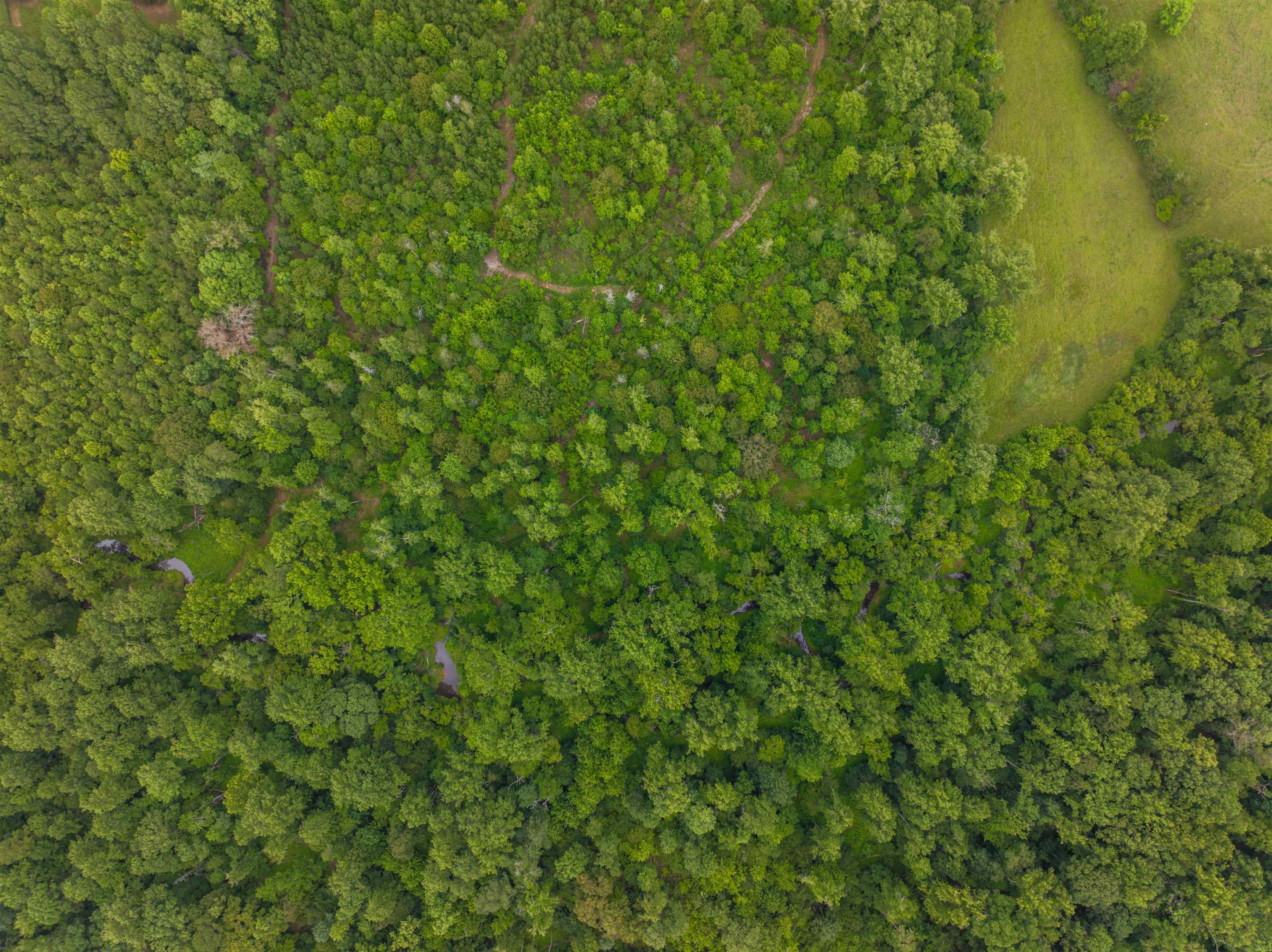 Lot 6 GILBERT STATION RD, BARBOURSVILLE, Virginia 22923, ,Land,Lot 6 GILBERT STATION RD,680432 MLS # 680432 Lot 6 GILBERT STATION RD, BARBOURSVILLE, Virginia 22923, ,Land,Lot 6 GILBERT STATION RD,680432 MLS # 680432