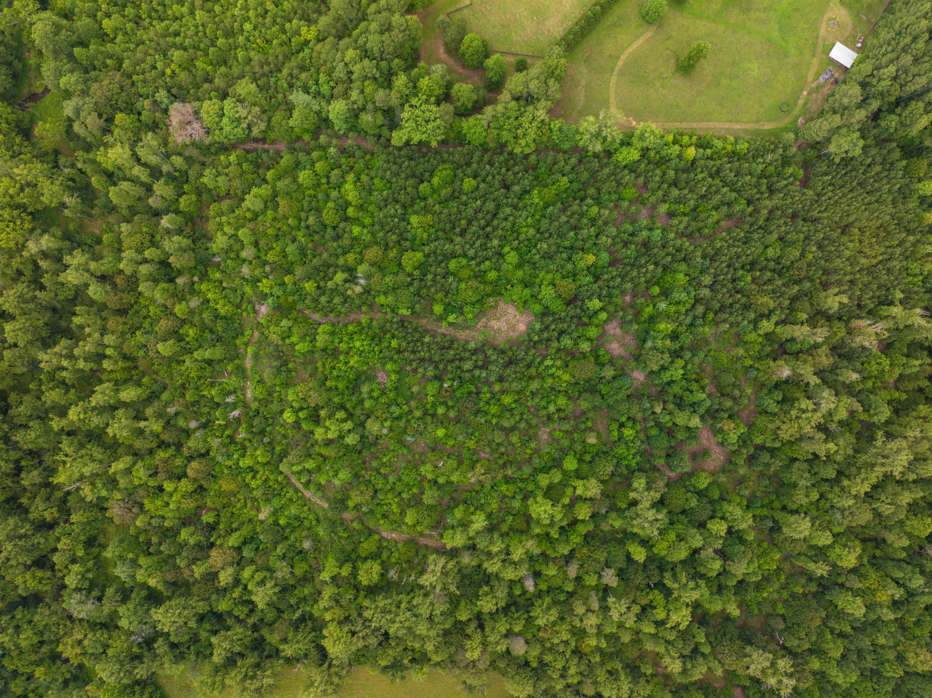 Lot 6 GILBERT STATION RD, BARBOURSVILLE, Virginia 22923, ,Land,Lot 6 GILBERT STATION RD,680432 MLS # 680432 Lot 6 GILBERT STATION RD, BARBOURSVILLE, Virginia 22923, ,Land,Lot 6 GILBERT STATION RD,680432 MLS # 680432