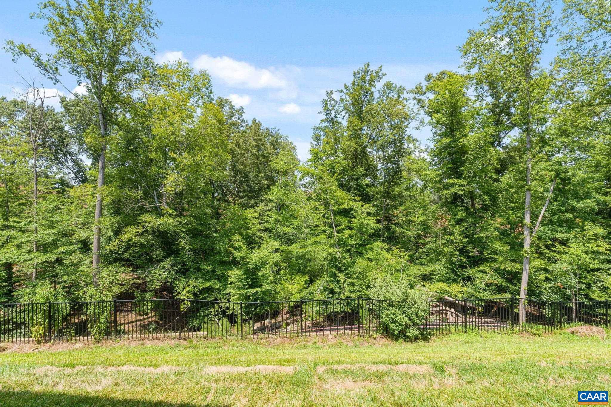3813 DeCERBO TERR, CHARLOTTESVILLE, Virginia 22901, 4 Bedrooms Bedrooms, ,3 BathroomsBathrooms,Residential,Afton Villa - Walkout Basement,3813 DeCERBO TERR,680425 MLS # 680425