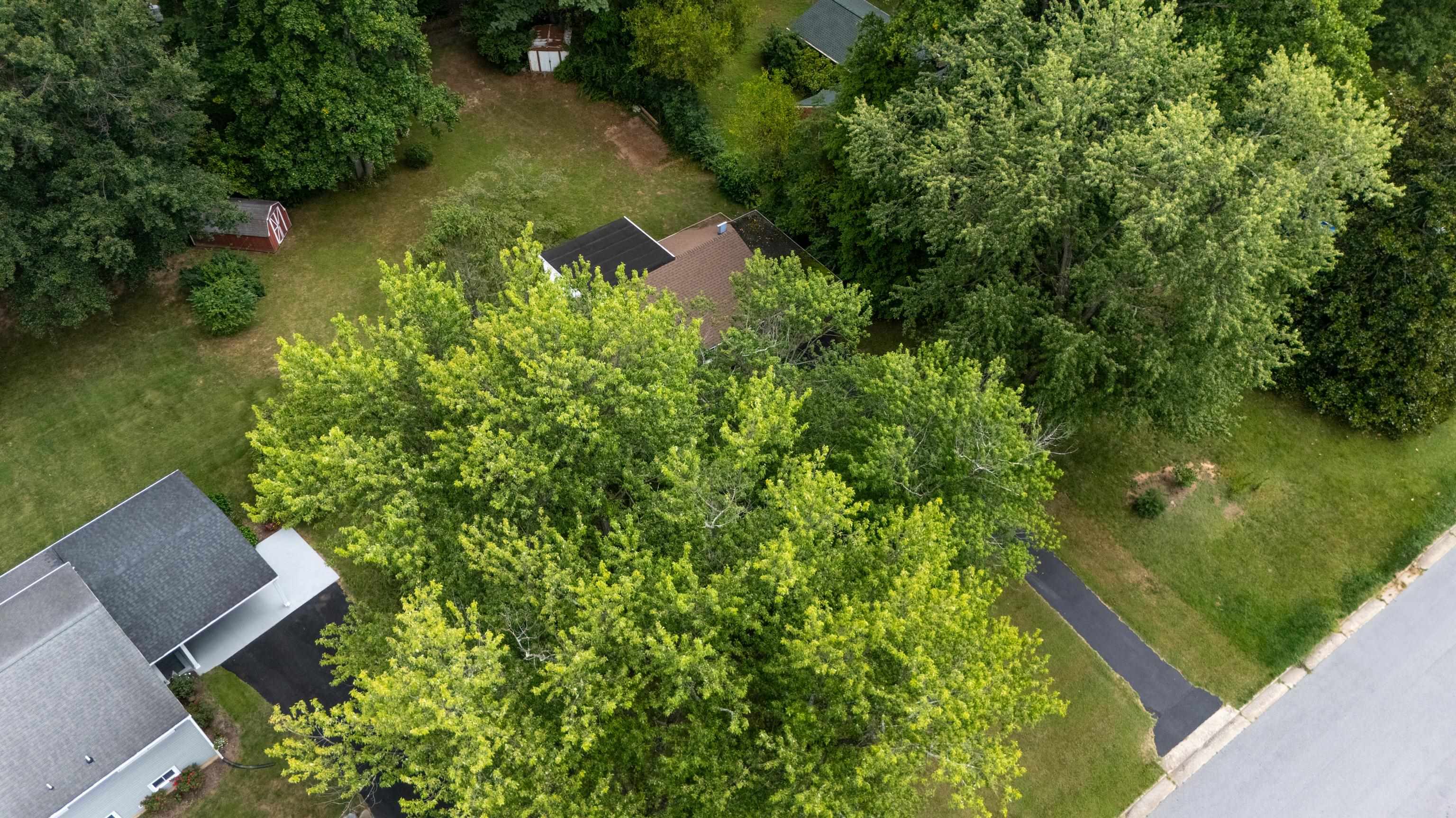 333 SHORE RD, WAYNESBORO, Virginia 22980, 5 Bedrooms Bedrooms, ,2 BathroomsBathrooms,Residential,333 SHORE RD,680431 MLS # 680431