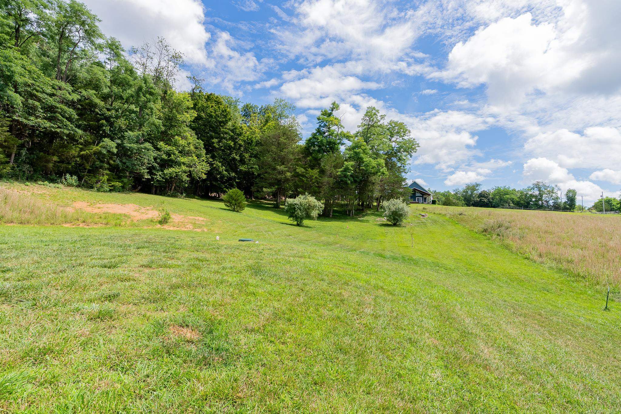 1399 UNION CHURCH RD, CHURCHVILLE, Virginia 24421, 3 Bedrooms Bedrooms, ,2 BathroomsBathrooms,Residential,1399 UNION CHURCH RD,680450 MLS # 680450 1399 UNION CHURCH RD, CHURCHVILLE, Virginia 24421, 3 Bedrooms Bedrooms, ,2 BathroomsBathrooms,Residential,1399 UNION CHURCH RD,680450 MLS # 680450