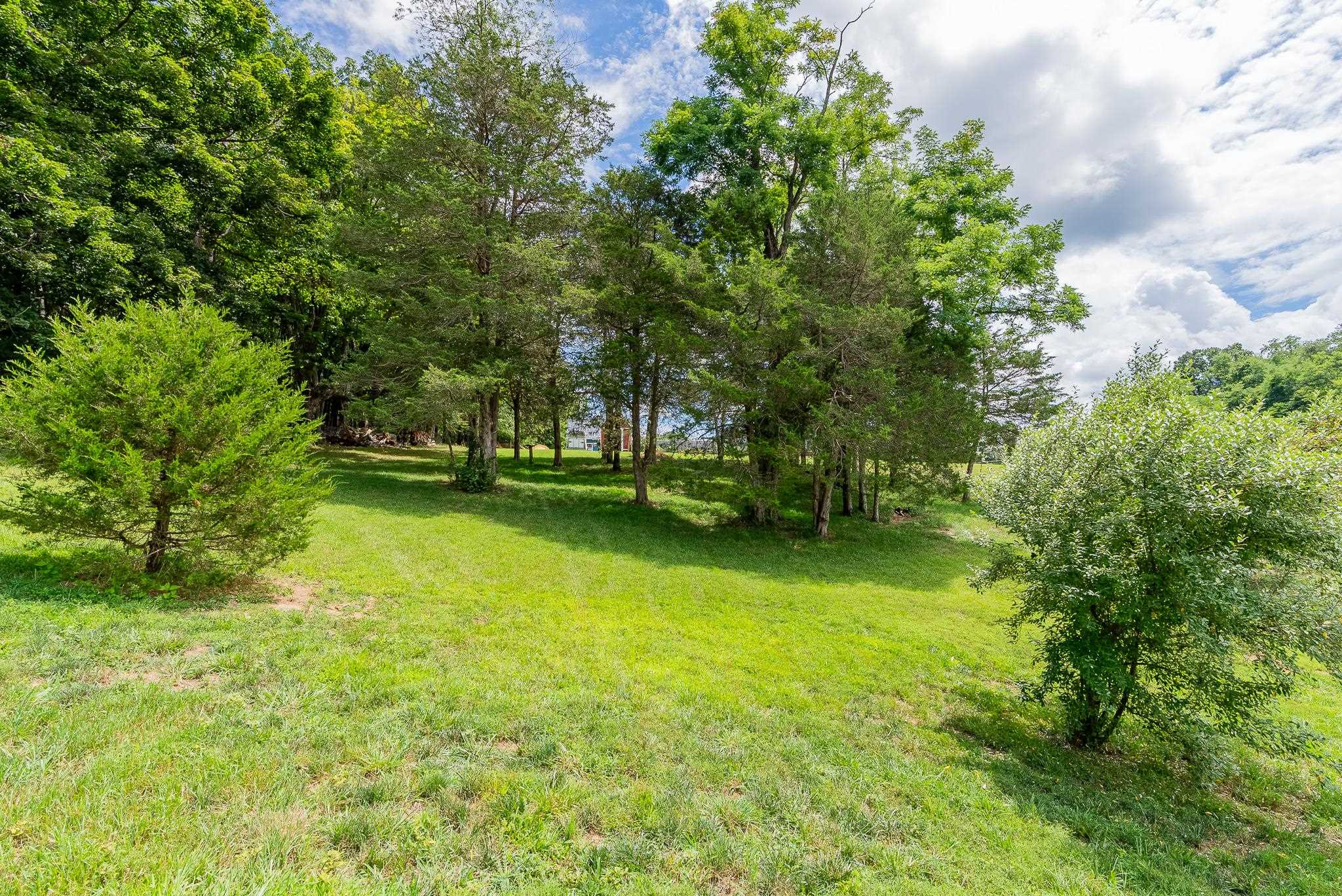 1399 UNION CHURCH RD, CHURCHVILLE, Virginia 24421, 3 Bedrooms Bedrooms, ,2 BathroomsBathrooms,Residential,1399 UNION CHURCH RD,680450 MLS # 680450 1399 UNION CHURCH RD, CHURCHVILLE, Virginia 24421, 3 Bedrooms Bedrooms, ,2 BathroomsBathrooms,Residential,1399 UNION CHURCH RD,680450 MLS # 680450