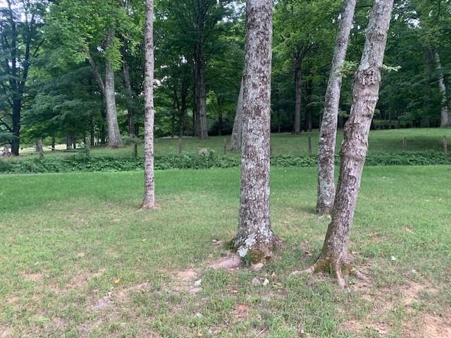 2352 DUG BANK RD, MONTEREY, Virginia 24465, 2 Bedrooms Bedrooms, ,1 BathroomBathrooms,Residential,Yoder Cabin,2352 DUG BANK RD,680465 MLS # 680465 2352 DUG BANK RD, MONTEREY, Virginia 24465, 2 Bedrooms Bedrooms, ,1 BathroomBathrooms,Residential,Yoder Cabin,2352 DUG BANK RD,680465 MLS # 680465