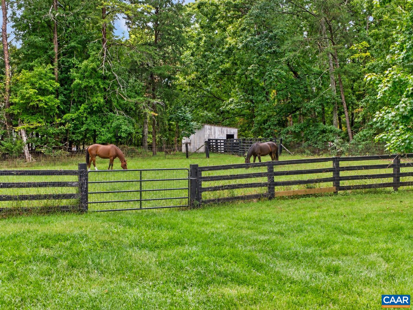 2959 BURNLEY STATION RD, BARBOURSVILLE, Virginia 22923, 3 Bedrooms Bedrooms, ,2 BathroomsBathrooms,Residential,2959 BURNLEY STATION RD,676999 MLS # 676999 2959 BURNLEY STATION RD, BARBOURSVILLE, Virginia 22923, 3 Bedrooms Bedrooms, ,2 BathroomsBathrooms,Residential,2959 BURNLEY STATION RD,676999 MLS # 676999