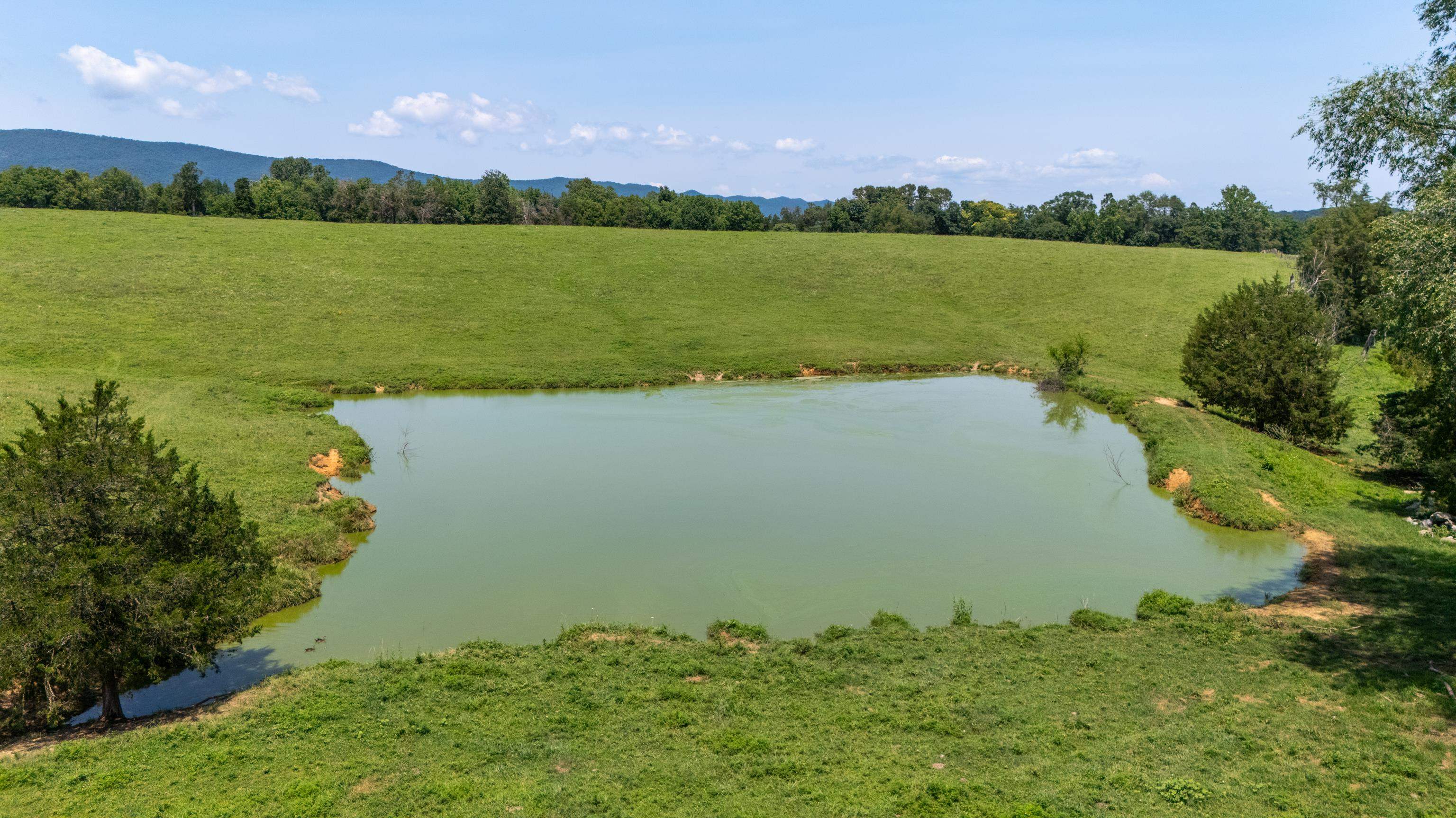 4381 US HWY 340, LURAY, Virginia 22835, 5 Bedrooms Bedrooms, ,2 BathroomsBathrooms,Residential,4381 US HWY 340,680475 MLS # 680475 4381 US HWY 340, LURAY, Virginia 22835, 5 Bedrooms Bedrooms, ,2 BathroomsBathrooms,Residential,4381 US HWY 340,680475 MLS # 680475