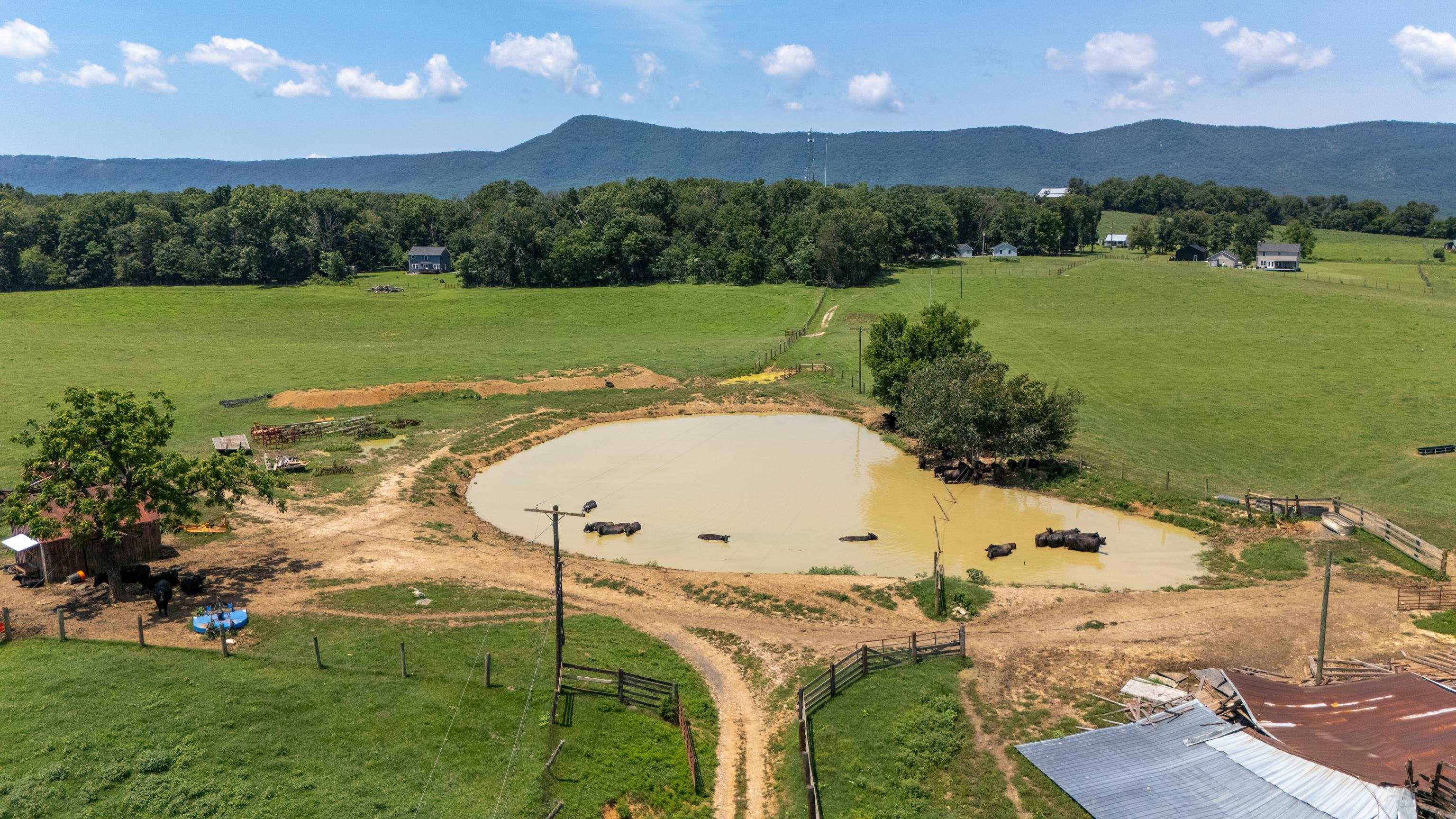 4381 US HWY 340, LURAY, Virginia 22835, 5 Bedrooms Bedrooms, ,2 BathroomsBathrooms,Residential,4381 US HWY 340,680475 MLS # 680475 4381 US HWY 340, LURAY, Virginia 22835, 5 Bedrooms Bedrooms, ,2 BathroomsBathrooms,Residential,4381 US HWY 340,680475 MLS # 680475