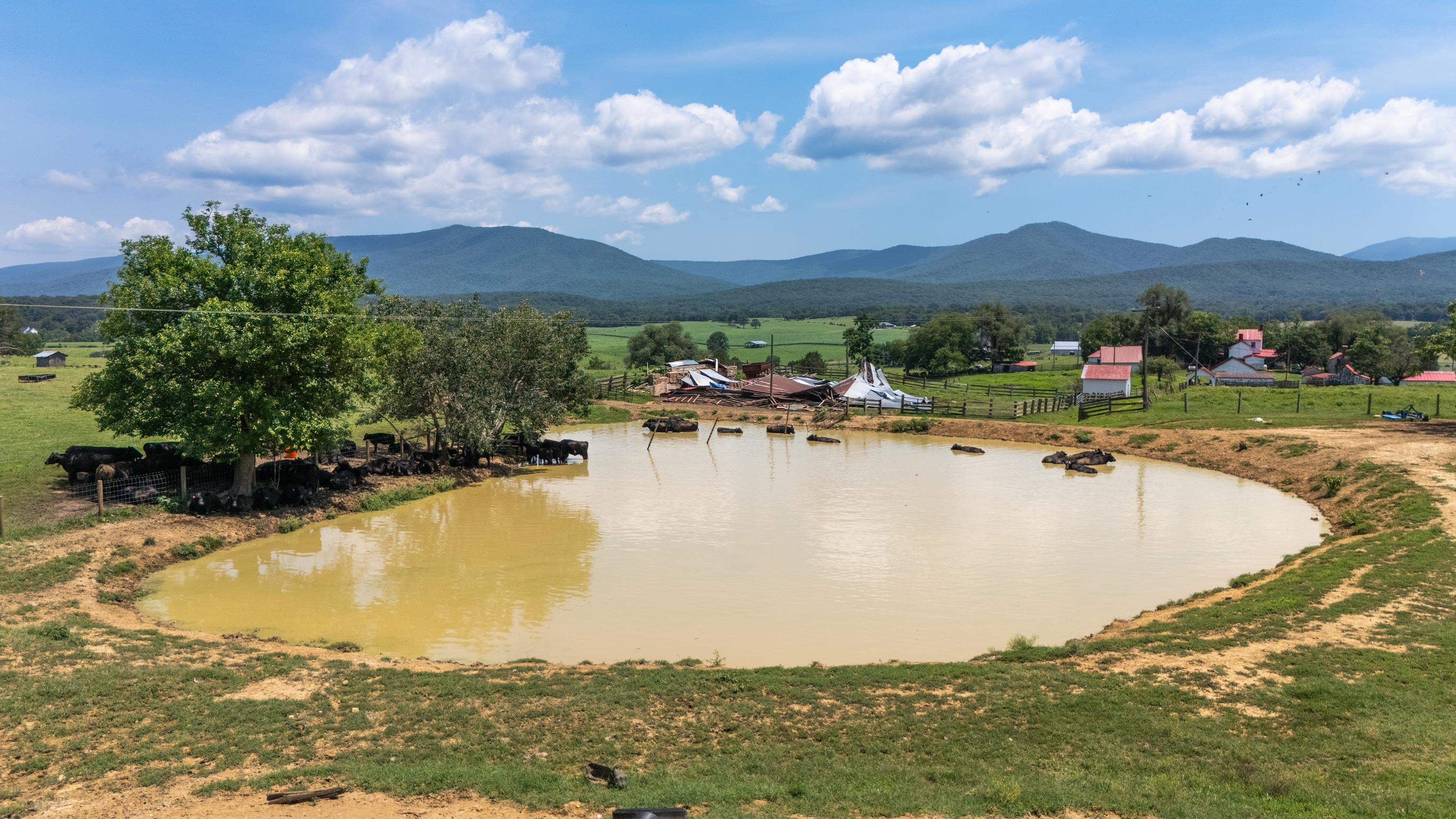 4381 US HWY 340, LURAY, Virginia 22835, 5 Bedrooms Bedrooms, ,2 BathroomsBathrooms,Residential,4381 US HWY 340,680475 MLS # 680475 4381 US HWY 340, LURAY, Virginia 22835, 5 Bedrooms Bedrooms, ,2 BathroomsBathrooms,Residential,4381 US HWY 340,680475 MLS # 680475