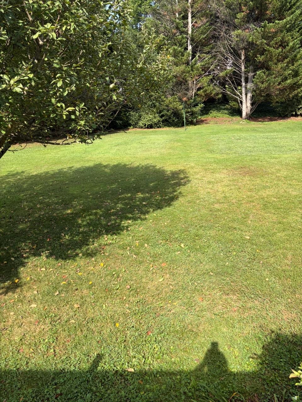 1411 SUNSET LN, WAYNESBORO, Virginia 22980, 4 Bedrooms Bedrooms, ,2 BathroomsBathrooms,Residential,1411 SUNSET LN,680504 MLS # 680504 1411 SUNSET LN, WAYNESBORO, Virginia 22980, 4 Bedrooms Bedrooms, ,2 BathroomsBathrooms,Residential,1411 SUNSET LN,680504 MLS # 680504