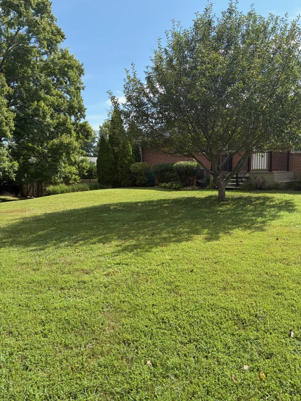 1411 SUNSET LN, WAYNESBORO, Virginia 22980, 4 Bedrooms Bedrooms, ,2 BathroomsBathrooms,Residential,1411 SUNSET LN,680504 MLS # 680504 1411 SUNSET LN, WAYNESBORO, Virginia 22980, 4 Bedrooms Bedrooms, ,2 BathroomsBathrooms,Residential,1411 SUNSET LN,680504 MLS # 680504
