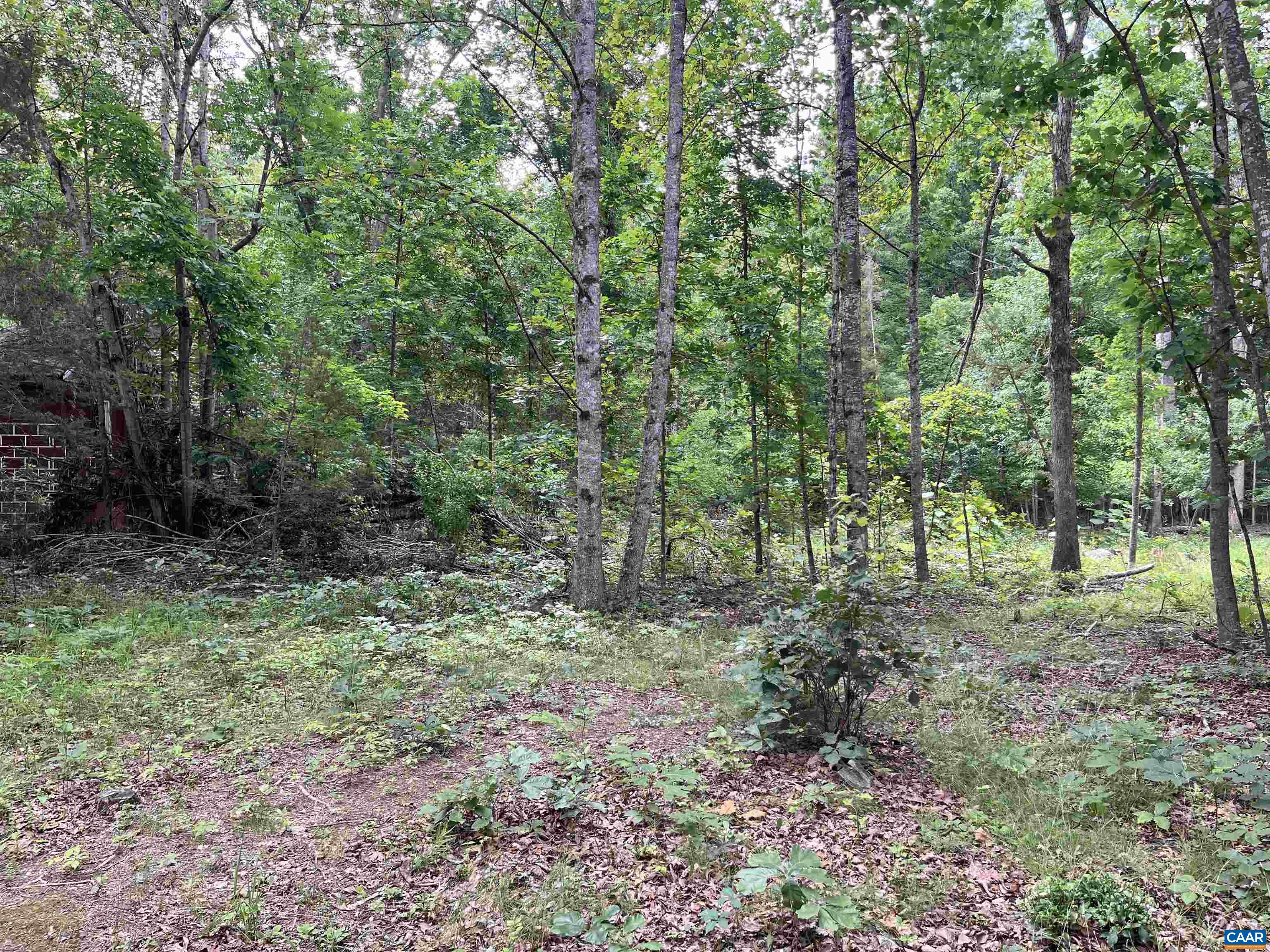 8295 BLACK WALNUT RUN RD, RHOADESVILLE, Virginia 22542, ,Land,8295 BLACK WALNUT RUN RD,680510 MLS # 680510 8295 BLACK WALNUT RUN RD, RHOADESVILLE, Virginia 22542, ,Land,8295 BLACK WALNUT RUN RD,680510 MLS # 680510