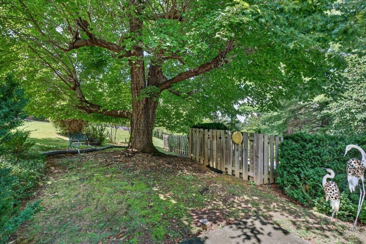 1395 PLEASANT VIEW ST, STAUNTON, Virginia 24401, 3 Bedrooms Bedrooms, ,3 BathroomsBathrooms,Residential,1395 PLEASANT VIEW ST,680403 MLS # 680403 1395 PLEASANT VIEW ST, STAUNTON, Virginia 24401, 3 Bedrooms Bedrooms, ,3 BathroomsBathrooms,Residential,1395 PLEASANT VIEW ST,680403 MLS # 680403