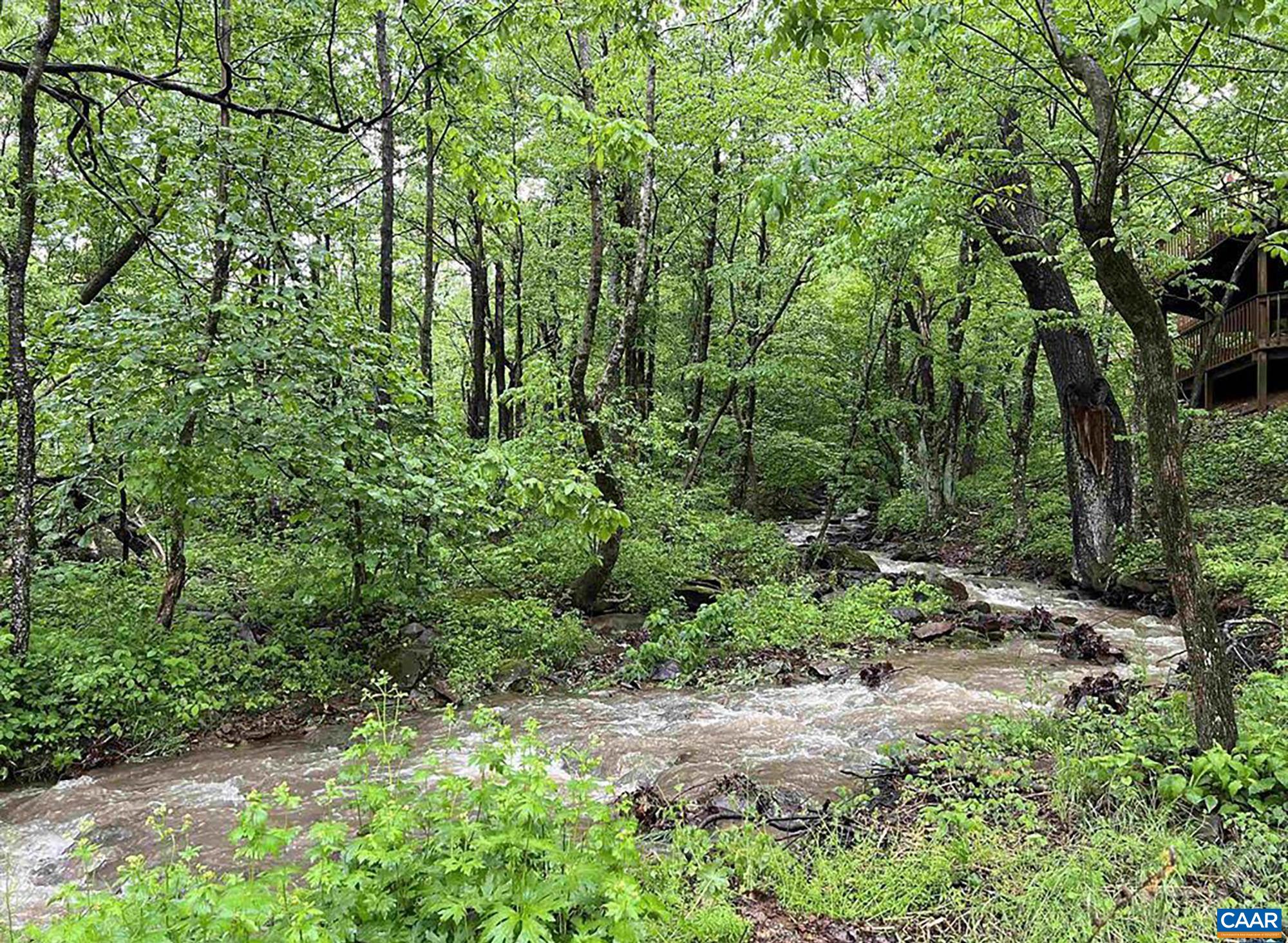 Rare location on Shamokin Springs Rare location on Shamokin Springs
