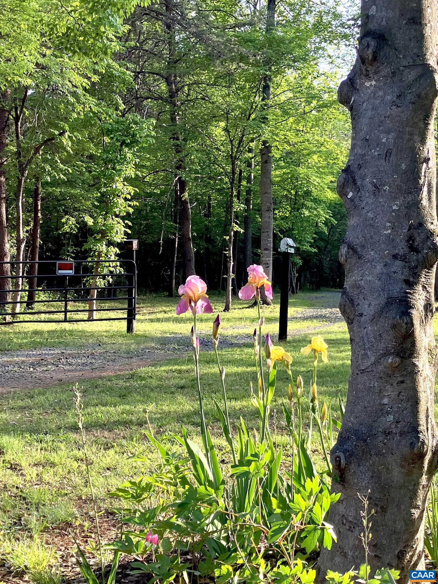 780 OLD STONEY CREEK RD, NELLYSFORD, Virginia 22958, 3 Bedrooms Bedrooms, ,2 BathroomsBathrooms,Residential,780 OLD STONEY CREEK RD,680508 MLS # 680508 780 OLD STONEY CREEK RD, NELLYSFORD, Virginia 22958, 3 Bedrooms Bedrooms, ,2 BathroomsBathrooms,Residential,780 OLD STONEY CREEK RD,680508 MLS # 680508