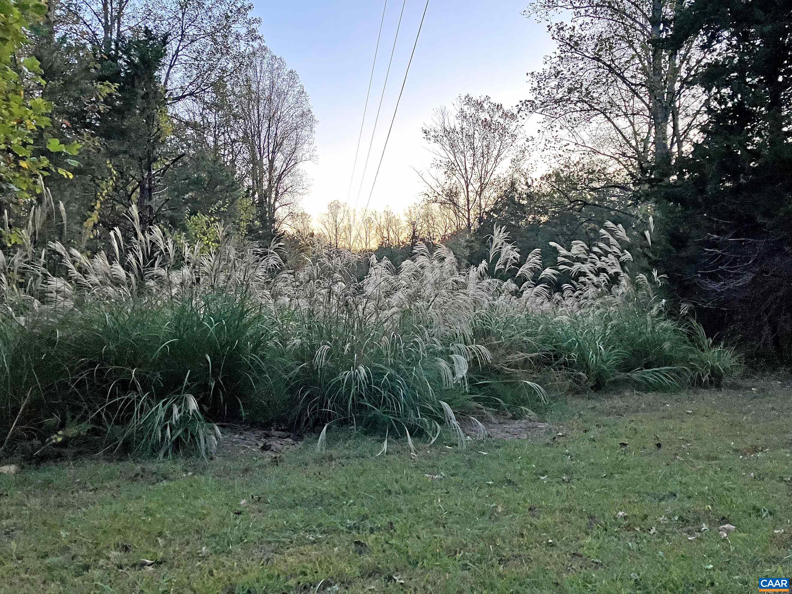 780 OLD STONEY CREEK RD, NELLYSFORD, Virginia 22958, 3 Bedrooms Bedrooms, ,2 BathroomsBathrooms,Residential,780 OLD STONEY CREEK RD,680508 MLS # 680508 780 OLD STONEY CREEK RD, NELLYSFORD, Virginia 22958, 3 Bedrooms Bedrooms, ,2 BathroomsBathrooms,Residential,780 OLD STONEY CREEK RD,680508 MLS # 680508