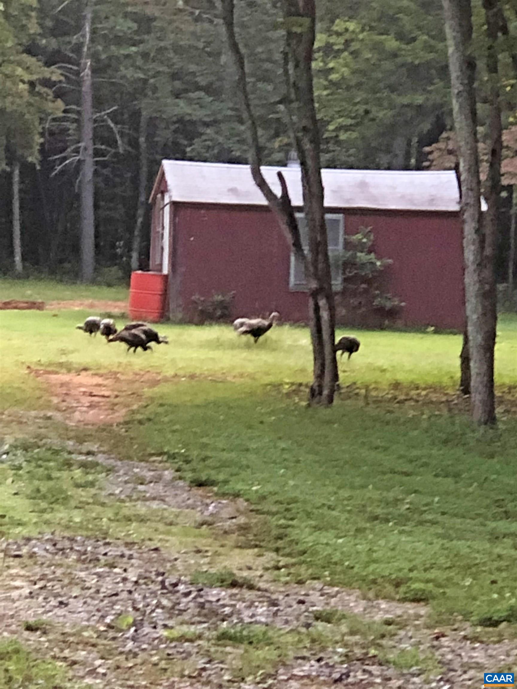 780 OLD STONEY CREEK RD, NELLYSFORD, Virginia 22958, 3 Bedrooms Bedrooms, ,2 BathroomsBathrooms,Residential,780 OLD STONEY CREEK RD,680508 MLS # 680508 780 OLD STONEY CREEK RD, NELLYSFORD, Virginia 22958, 3 Bedrooms Bedrooms, ,2 BathroomsBathrooms,Residential,780 OLD STONEY CREEK RD,680508 MLS # 680508