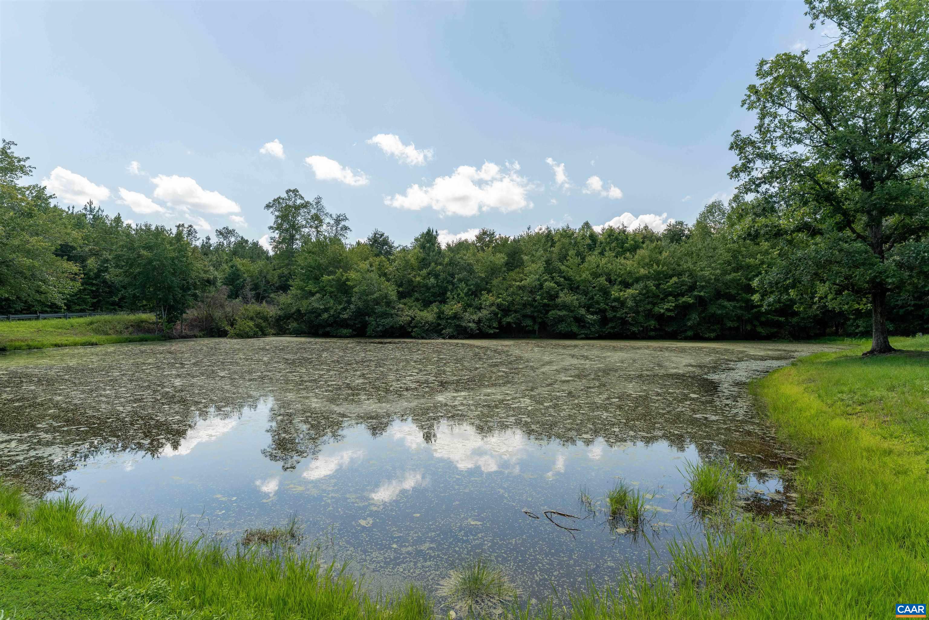 3172 ROCK ISLAND RD, SCOTTSVILLE, Virginia 24590, 3 Bedrooms Bedrooms, ,2 BathroomsBathrooms,Residential,3172 ROCK ISLAND RD,680515 MLS # 680515 3172 ROCK ISLAND RD, SCOTTSVILLE, Virginia 24590, 3 Bedrooms Bedrooms, ,2 BathroomsBathrooms,Residential,3172 ROCK ISLAND RD,680515 MLS # 680515