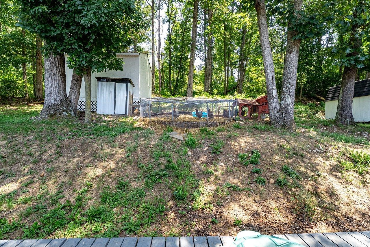 4695 EAST SIDE HWY, GROTTOES, Virginia 24441, 3 Bedrooms Bedrooms, ,2 BathroomsBathrooms,Residential,4695 EAST SIDE HWY,679144 MLS # 679144 4695 EAST SIDE HWY, GROTTOES, Virginia 24441, 3 Bedrooms Bedrooms, ,2 BathroomsBathrooms,Residential,4695 EAST SIDE HWY,679144 MLS # 679144