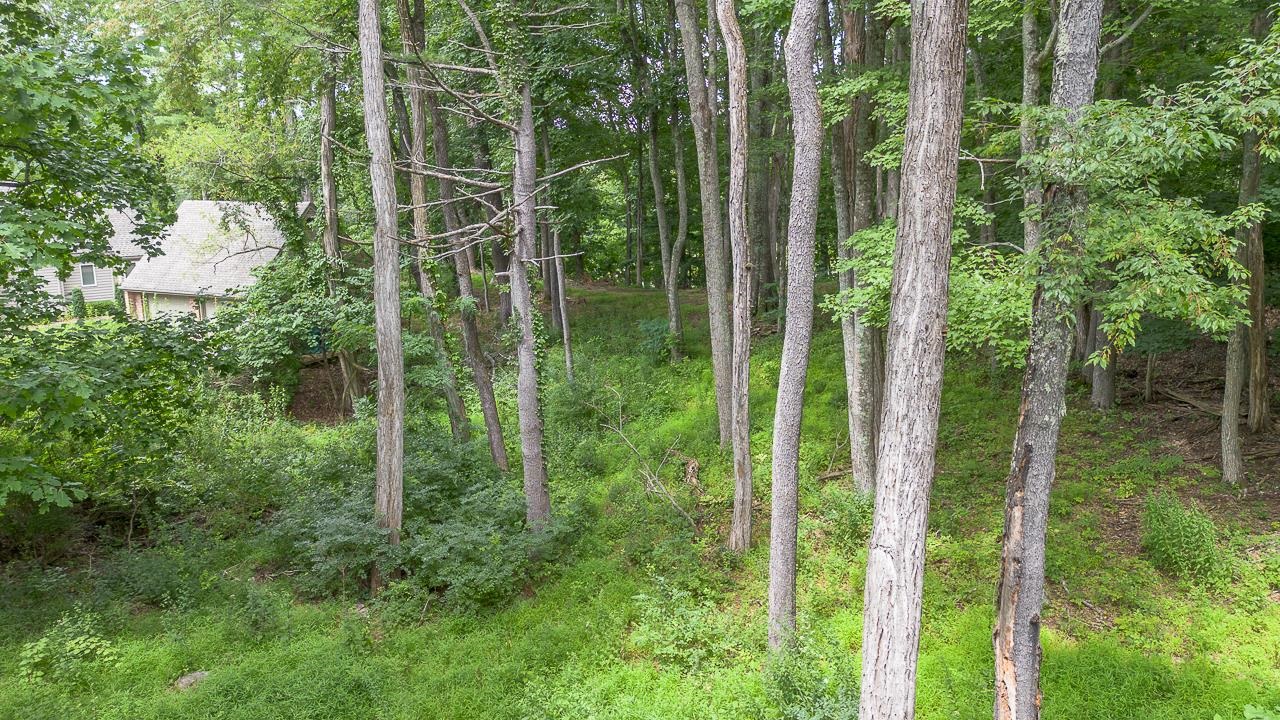 62 DEEPWOOD LN, HOT SPRINGS, Virginia 24445, 3 Bedrooms Bedrooms, ,3 BathroomsBathrooms,Residential,62 DEEPWOOD LN,680528 MLS # 680528 62 DEEPWOOD LN, HOT SPRINGS, Virginia 24445, 3 Bedrooms Bedrooms, ,3 BathroomsBathrooms,Residential,62 DEEPWOOD LN,680528 MLS # 680528