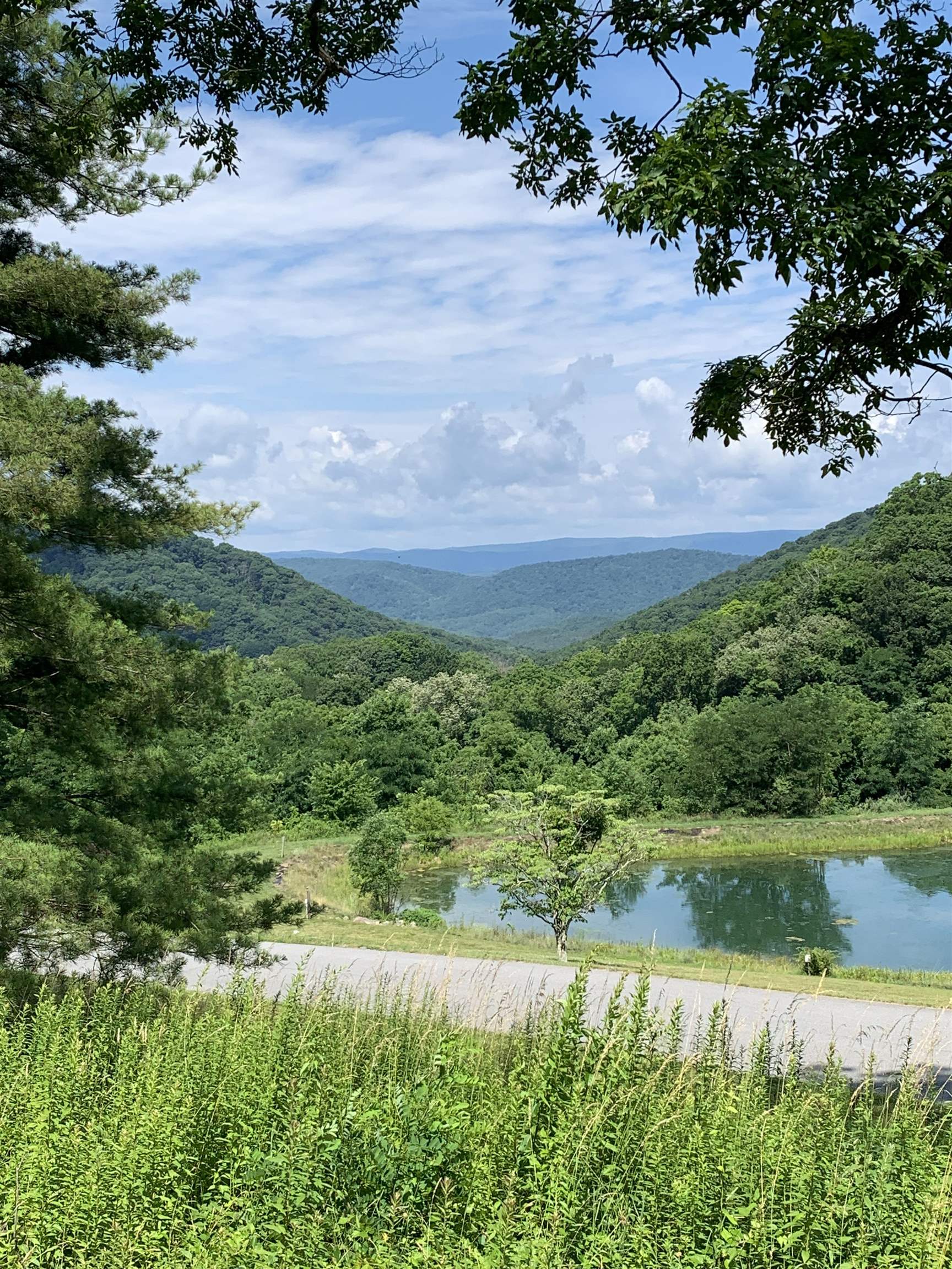 68 SHEEP MEADOW RD, HOT SPRINGS, Virginia 24445, ,Land,Homestead Preserve Sheep Meadow lot 68,68 SHEEP MEADOW RD,680546 MLS # 680546