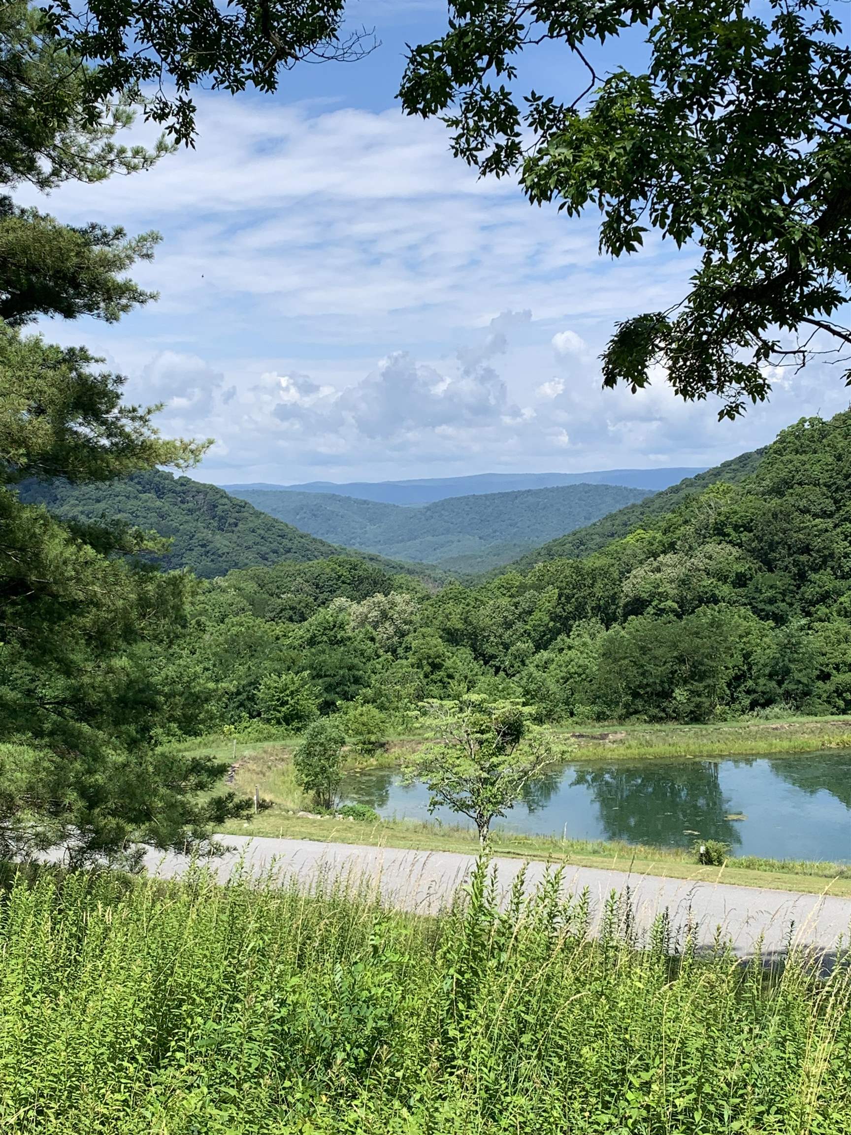 68 SHEEP MEADOW RD, HOT SPRINGS, Virginia 24445, ,Land,Homestead Preserve Sheep Meadow lot 68,68 SHEEP MEADOW RD,680546 MLS # 680546