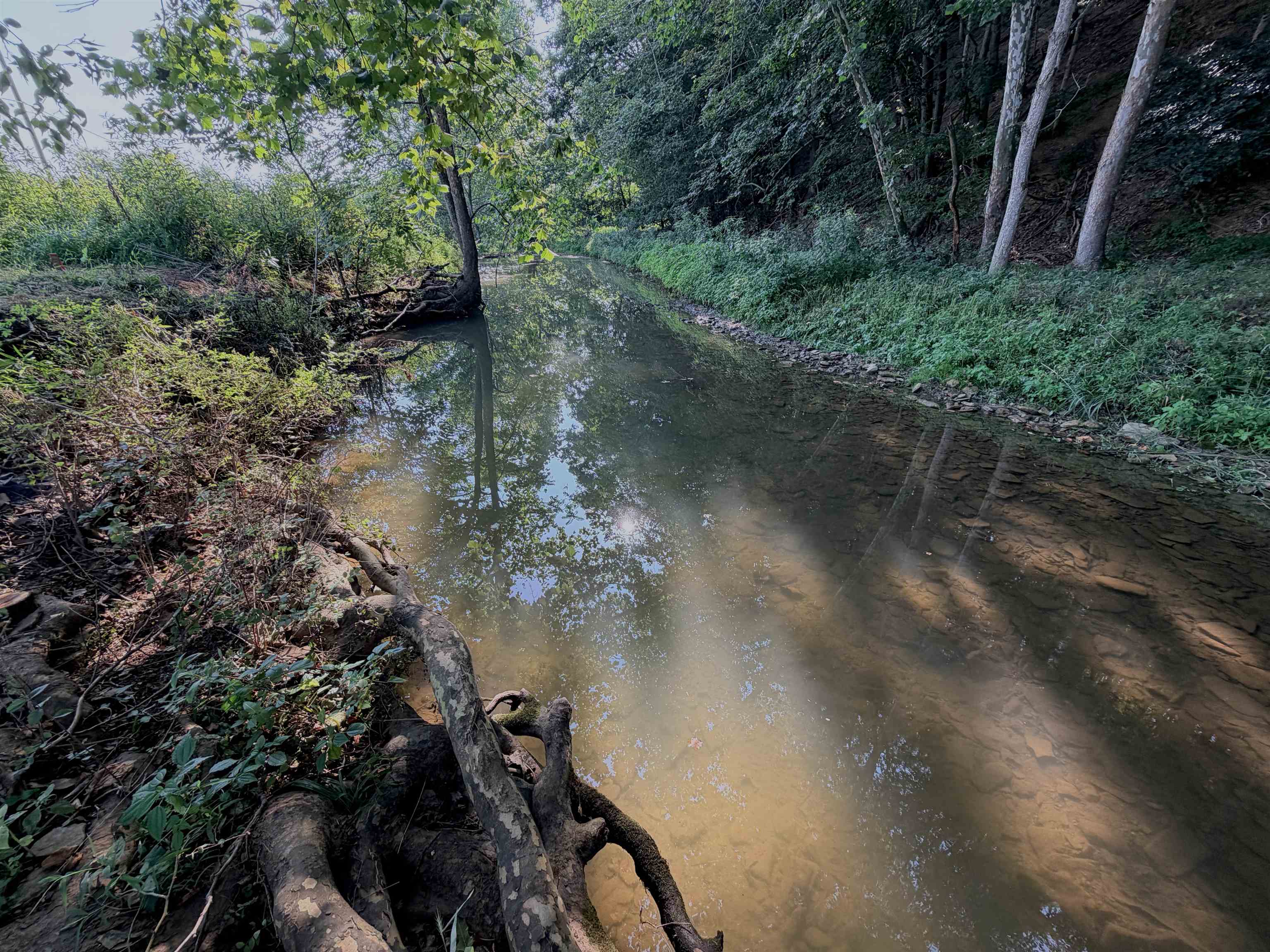 00 NAKED CREEK HOLLOW RD, WEYERS CAVE, Virginia 24486, ,Land,00 NAKED CREEK HOLLOW RD,680550 MLS # 680550 00 NAKED CREEK HOLLOW RD, WEYERS CAVE, Virginia 24486, ,Land,00 NAKED CREEK HOLLOW RD,680550 MLS # 680550