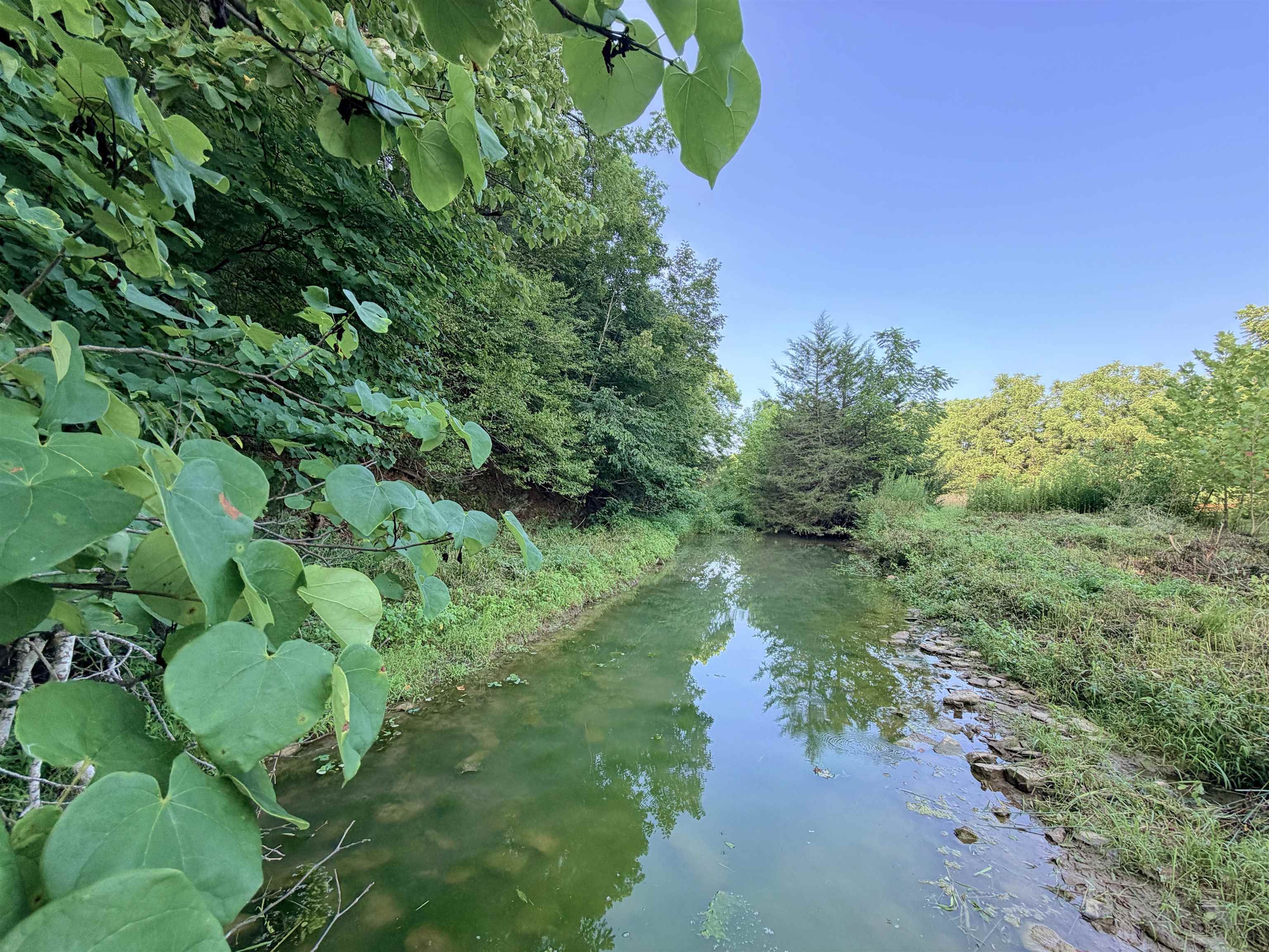 00 NAKED CREEK HOLLOW RD, WEYERS CAVE, Virginia 24486, ,Land,00 NAKED CREEK HOLLOW RD,680550 MLS # 680550 00 NAKED CREEK HOLLOW RD, WEYERS CAVE, Virginia 24486, ,Land,00 NAKED CREEK HOLLOW RD,680550 MLS # 680550