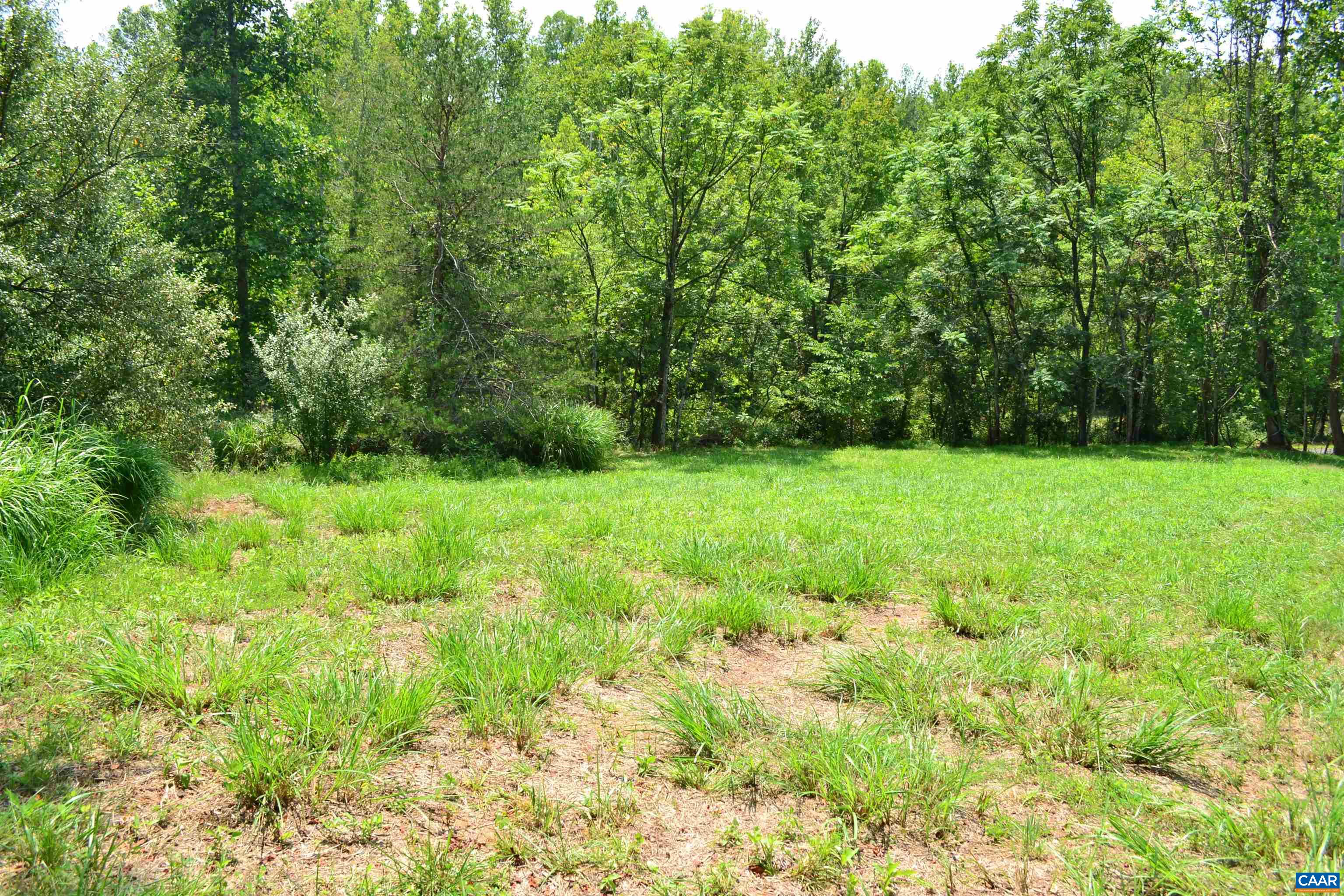 TBD ROCKFISH RIVER RD, SCHUYLER, Virginia 22969, ,Land,TBD ROCKFISH RIVER RD,680555 MLS # 680555 TBD ROCKFISH RIVER RD, SCHUYLER, Virginia 22969, ,Land,TBD ROCKFISH RIVER RD,680555 MLS # 680555