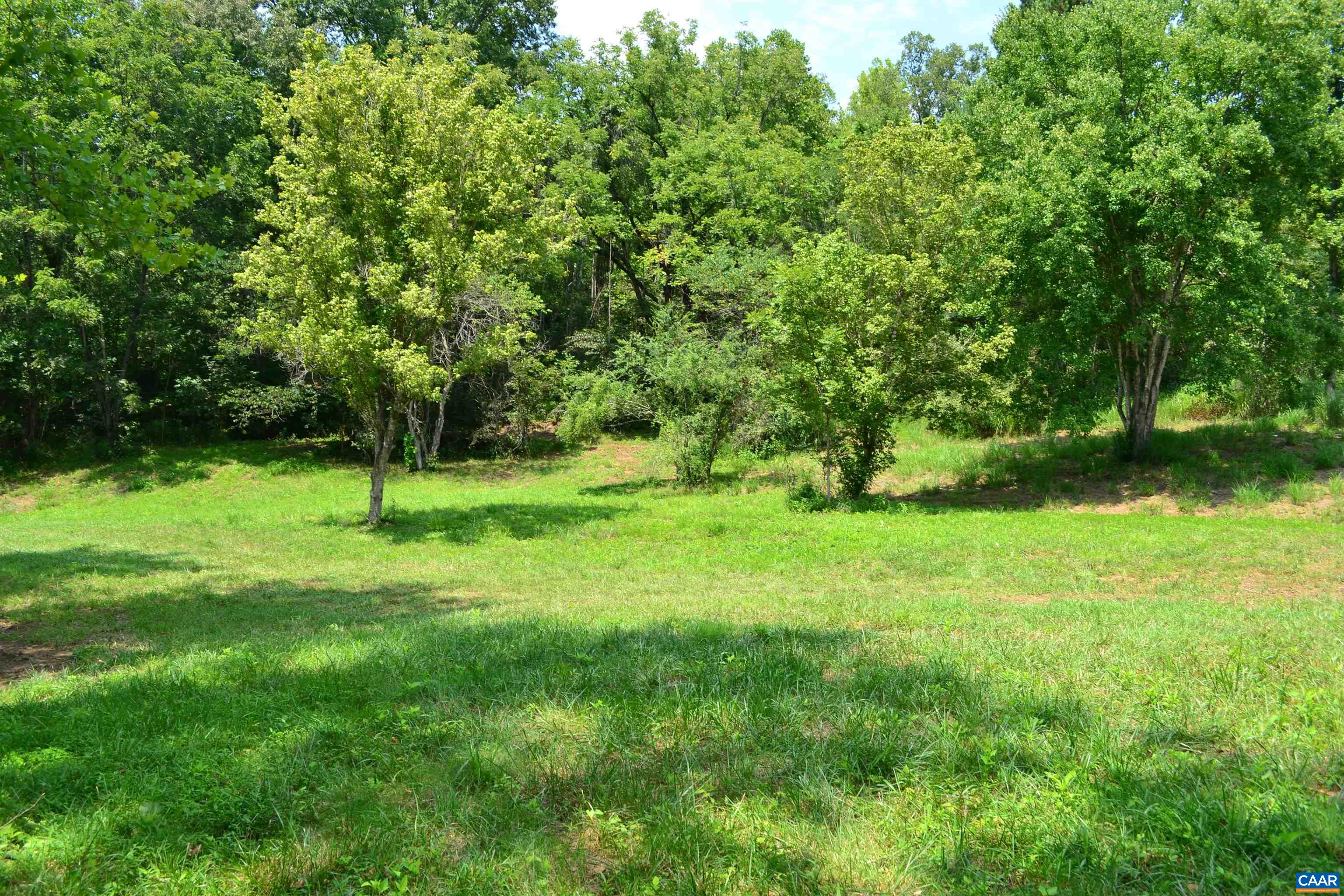 TBD ROCKFISH RIVER RD, SCHUYLER, Virginia 22969, ,Land,TBD ROCKFISH RIVER RD,680555 MLS # 680555 TBD ROCKFISH RIVER RD, SCHUYLER, Virginia 22969, ,Land,TBD ROCKFISH RIVER RD,680555 MLS # 680555