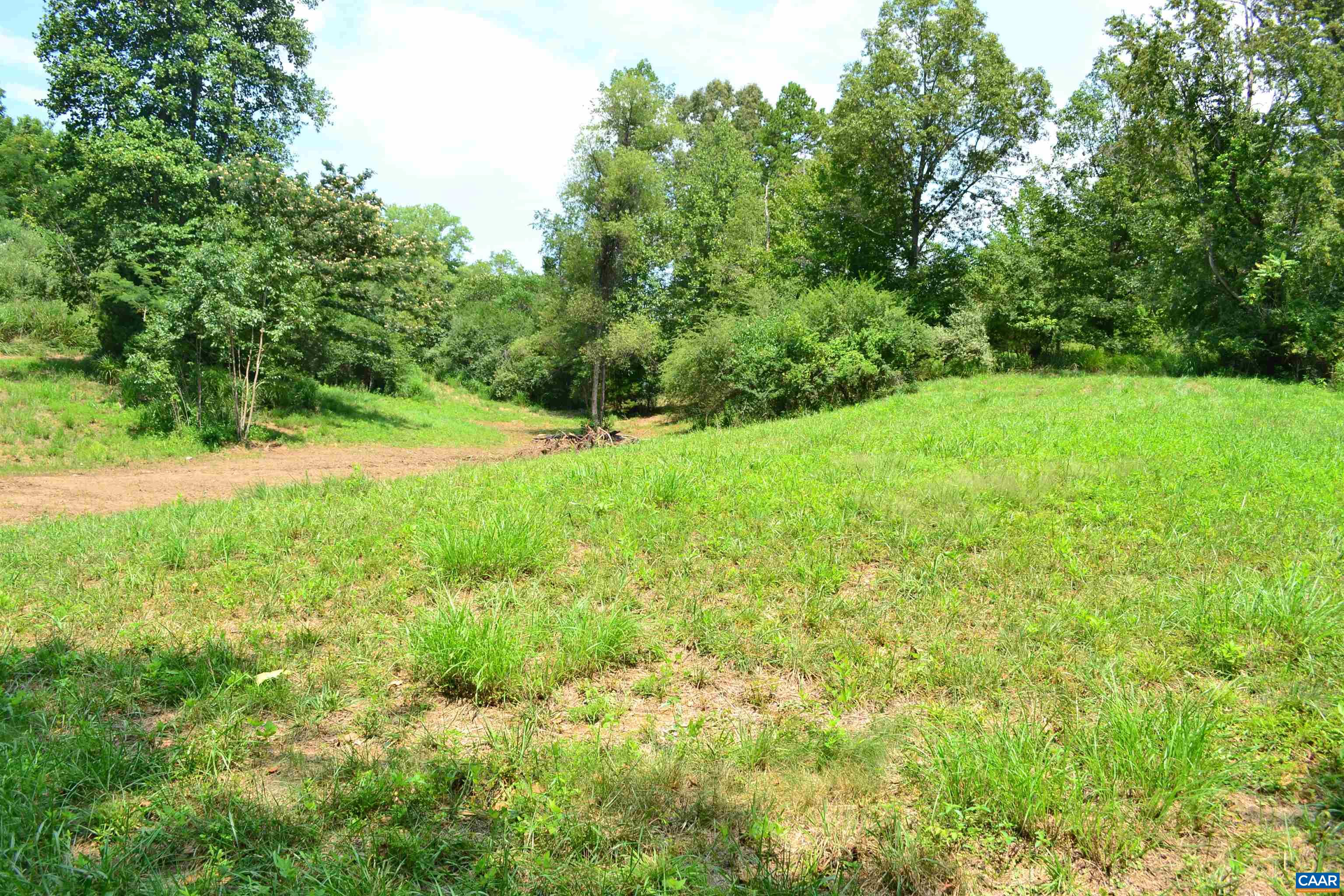 TBD ROCKFISH RIVER RD, SCHUYLER, Virginia 22969, ,Land,TBD ROCKFISH RIVER RD,680555 MLS # 680555 TBD ROCKFISH RIVER RD, SCHUYLER, Virginia 22969, ,Land,TBD ROCKFISH RIVER RD,680555 MLS # 680555