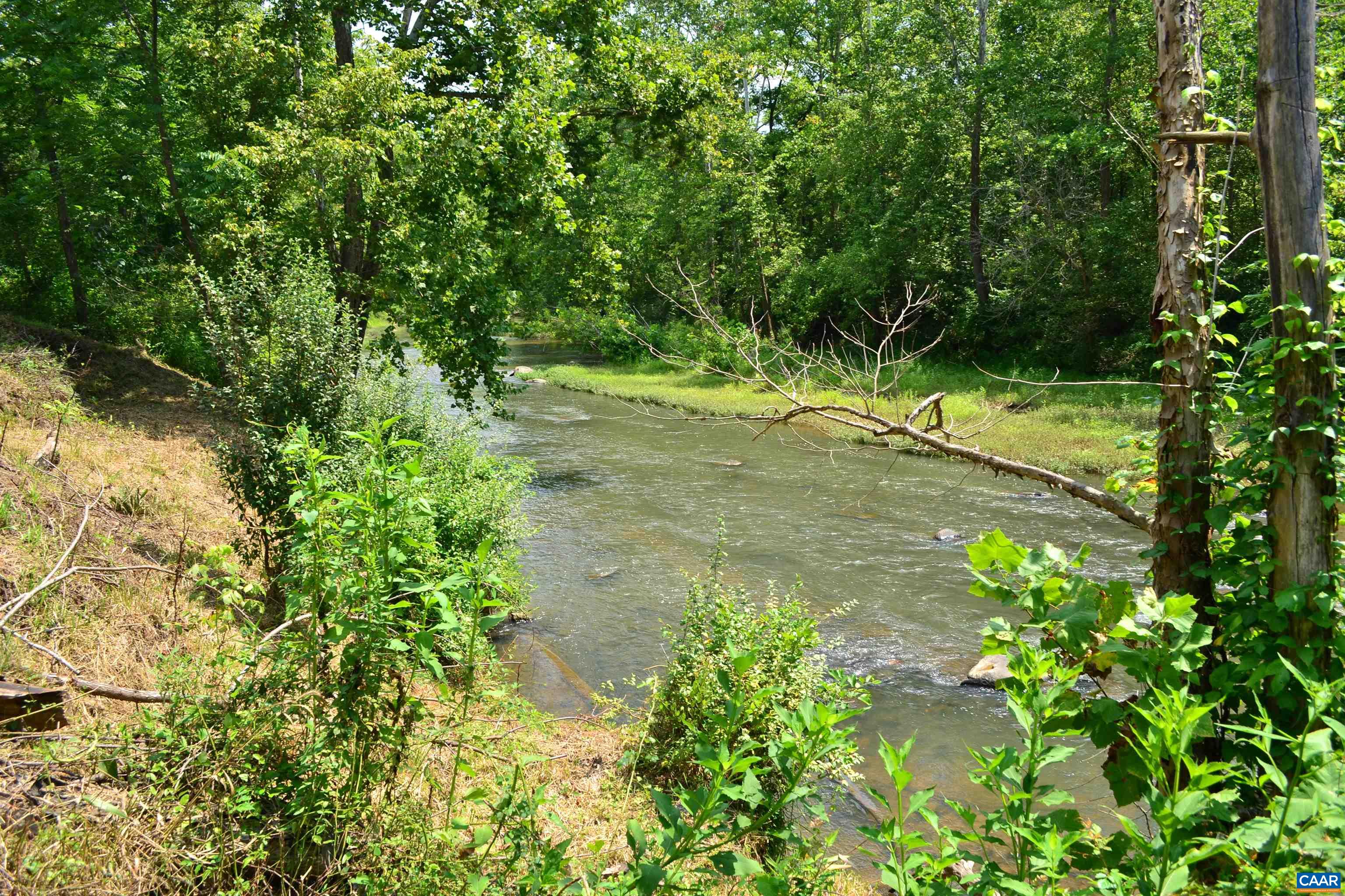 TBD ROCKFISH RIVER RD, SCHUYLER, Virginia 22969, ,Land,TBD ROCKFISH RIVER RD,680555 MLS # 680555 TBD ROCKFISH RIVER RD, SCHUYLER, Virginia 22969, ,Land,TBD ROCKFISH RIVER RD,680555 MLS # 680555