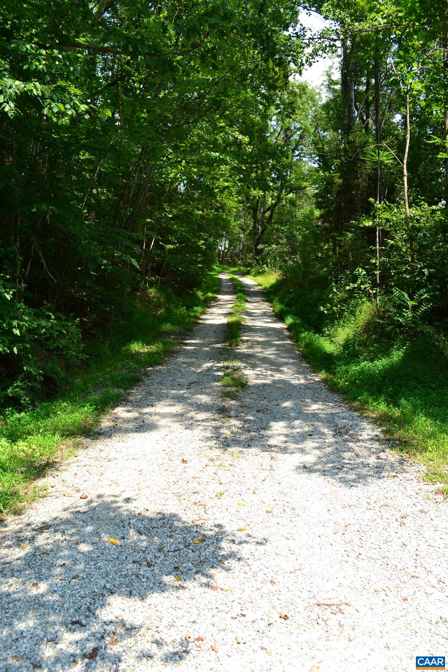 TBD ROCKFISH RIVER RD, SCHUYLER, Virginia 22969, ,Land,TBD ROCKFISH RIVER RD,680555 MLS # 680555 TBD ROCKFISH RIVER RD, SCHUYLER, Virginia 22969, ,Land,TBD ROCKFISH RIVER RD,680555 MLS # 680555