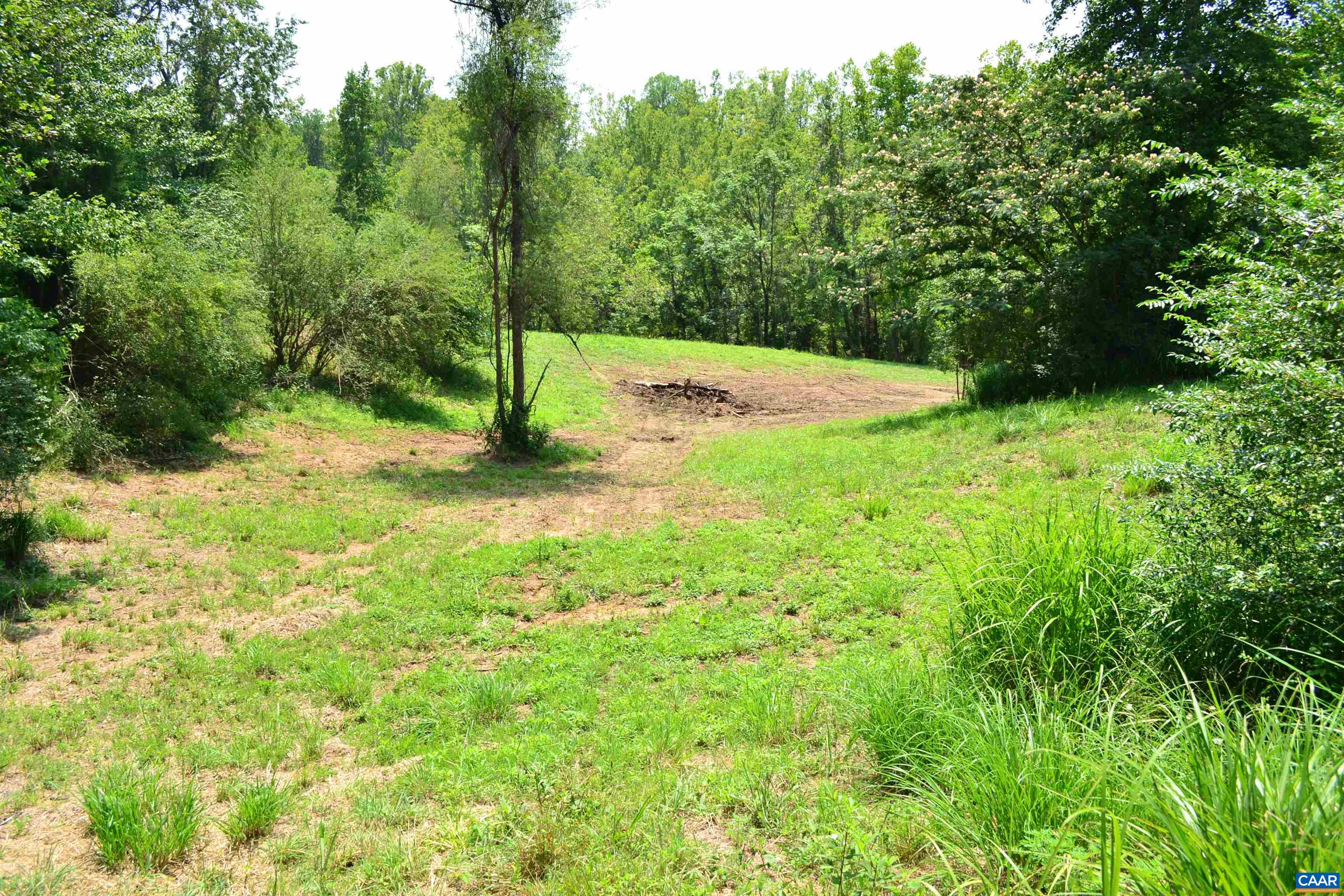 TBD ROCKFISH RIVER RD, SCHUYLER, Virginia 22969, ,Land,TBD ROCKFISH RIVER RD,680555 MLS # 680555 TBD ROCKFISH RIVER RD, SCHUYLER, Virginia 22969, ,Land,TBD ROCKFISH RIVER RD,680555 MLS # 680555
