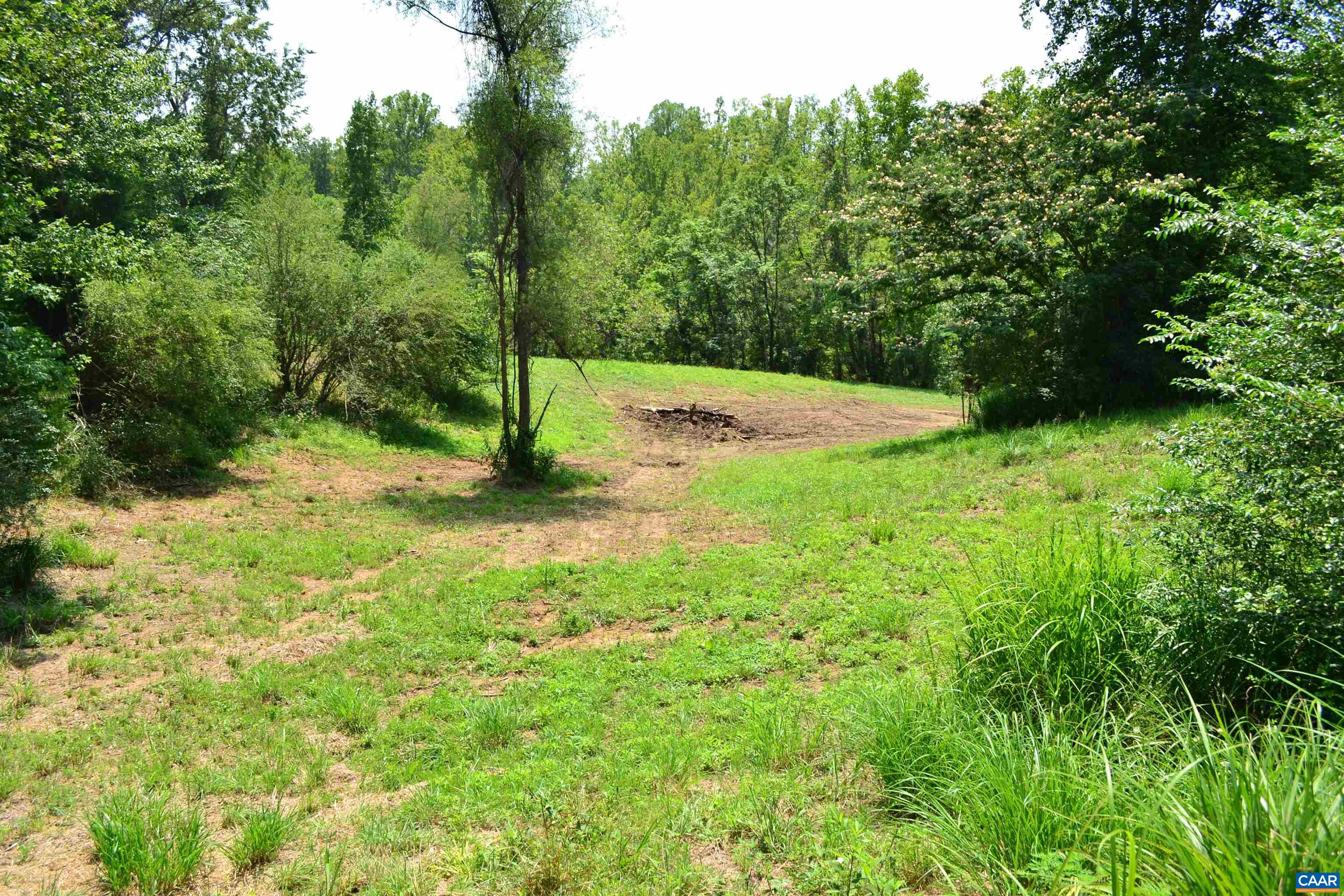 TBD ROCKFISH RIVER RD, SCHUYLER, Virginia 22969, ,Land,TBD ROCKFISH RIVER RD,680555 MLS # 680555 TBD ROCKFISH RIVER RD, SCHUYLER, Virginia 22969, ,Land,TBD ROCKFISH RIVER RD,680555 MLS # 680555