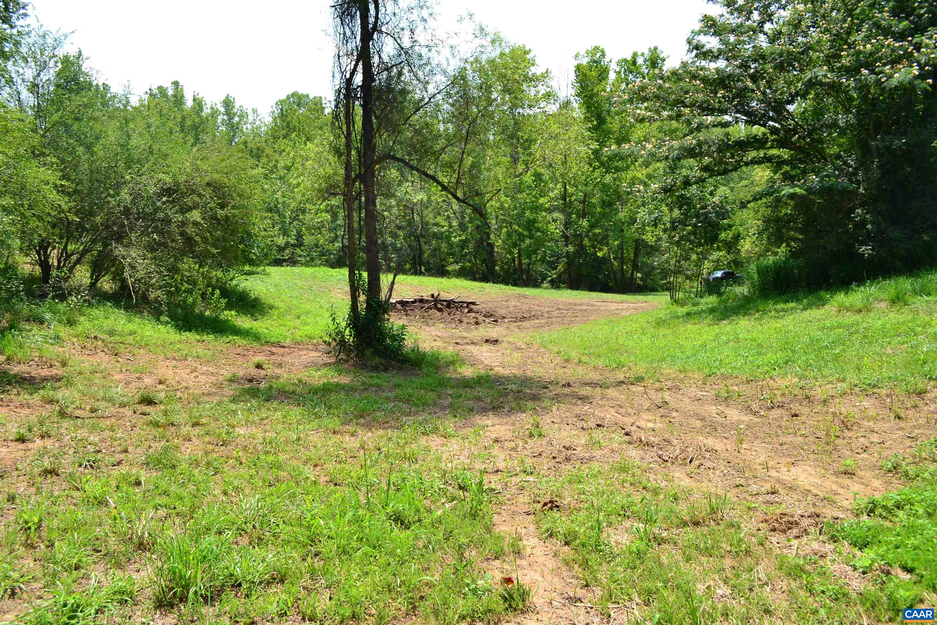 TBD ROCKFISH RIVER RD, SCHUYLER, Virginia 22969, ,Land,TBD ROCKFISH RIVER RD,680555 MLS # 680555 TBD ROCKFISH RIVER RD, SCHUYLER, Virginia 22969, ,Land,TBD ROCKFISH RIVER RD,680555 MLS # 680555