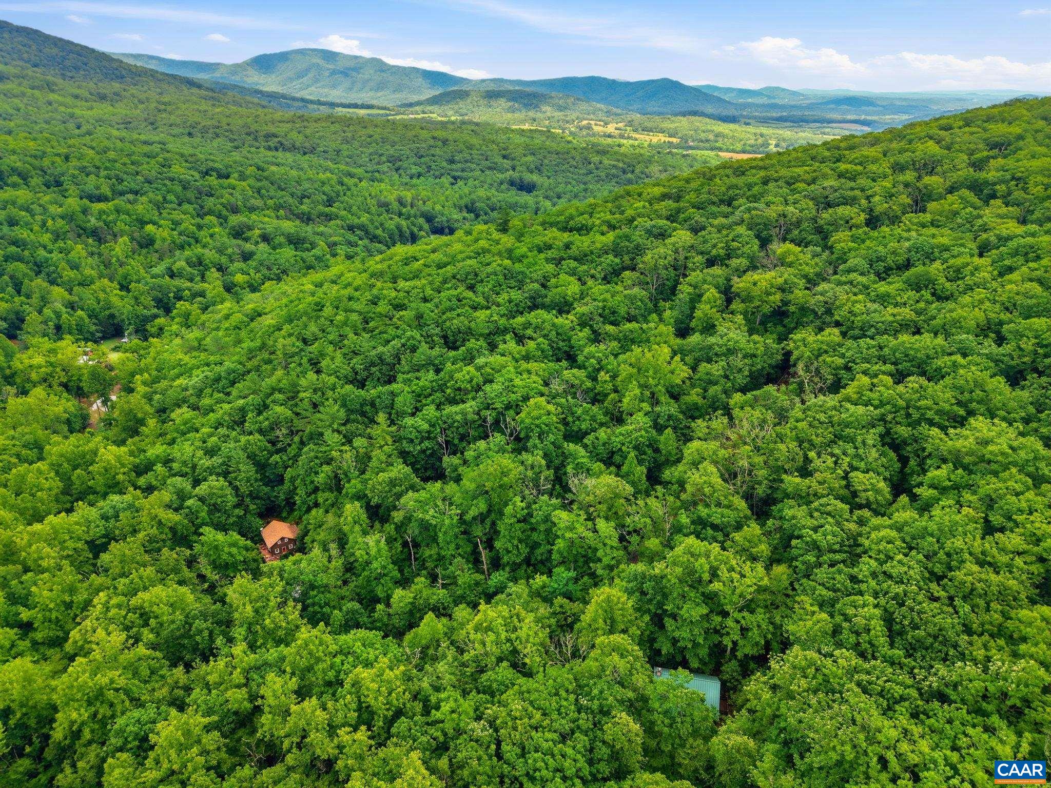 974 BULL YEARLING RD, STANARDSVILLE, Virginia 22973, 2 Bedrooms Bedrooms, ,1 BathroomBathrooms,Residential,The Mountains are Calling,974 BULL YEARLING RD,679069 MLS # 679069 974 BULL YEARLING RD, STANARDSVILLE, Virginia 22973, 2 Bedrooms Bedrooms, ,1 BathroomBathrooms,Residential,The Mountains are Calling,974 BULL YEARLING RD,679069 MLS # 679069