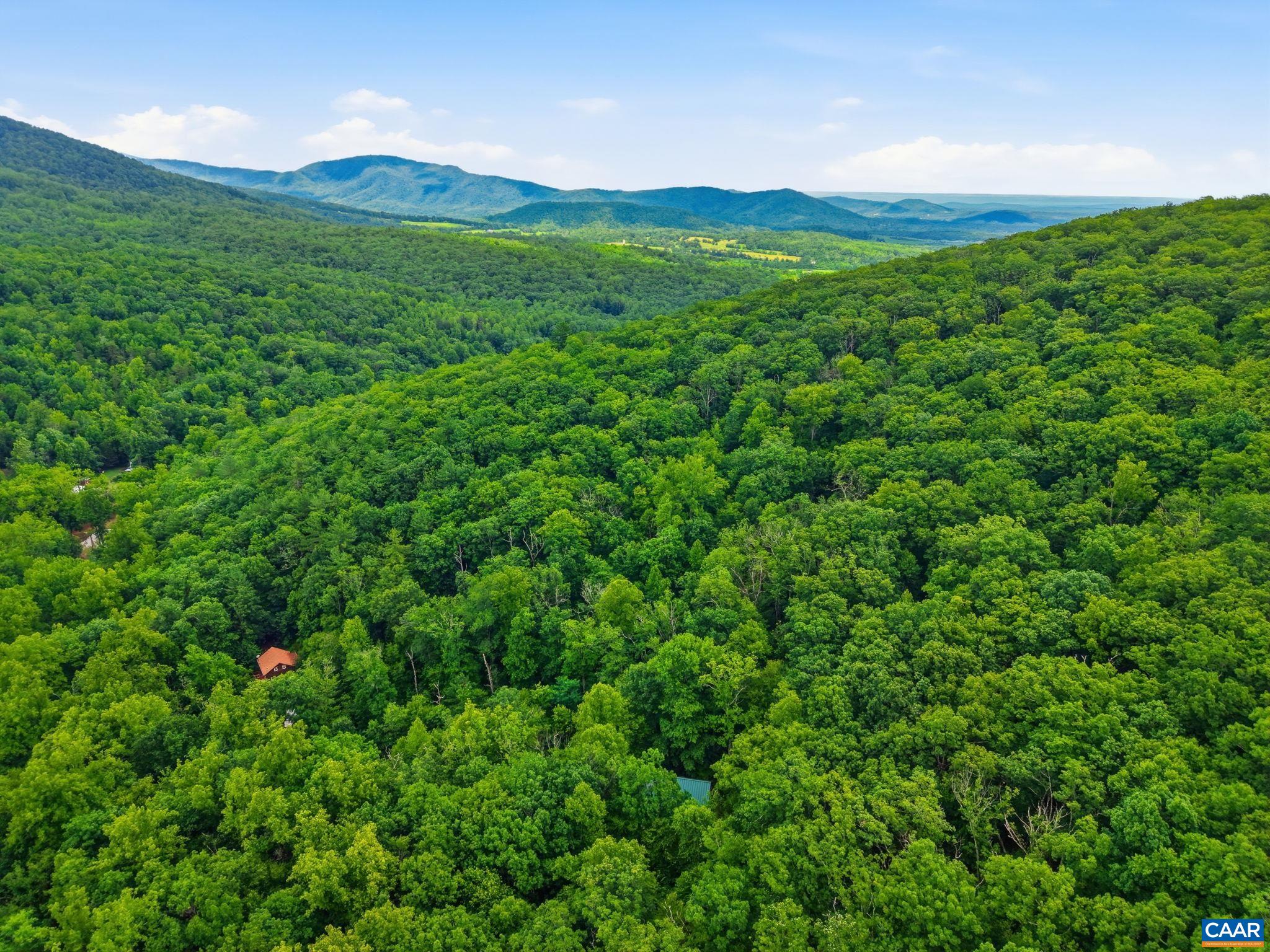 974 BULL YEARLING RD, STANARDSVILLE, Virginia 22973, 2 Bedrooms Bedrooms, ,1 BathroomBathrooms,Residential,The Mountains are Calling,974 BULL YEARLING RD,679069 MLS # 679069 974 BULL YEARLING RD, STANARDSVILLE, Virginia 22973, 2 Bedrooms Bedrooms, ,1 BathroomBathrooms,Residential,The Mountains are Calling,974 BULL YEARLING RD,679069 MLS # 679069