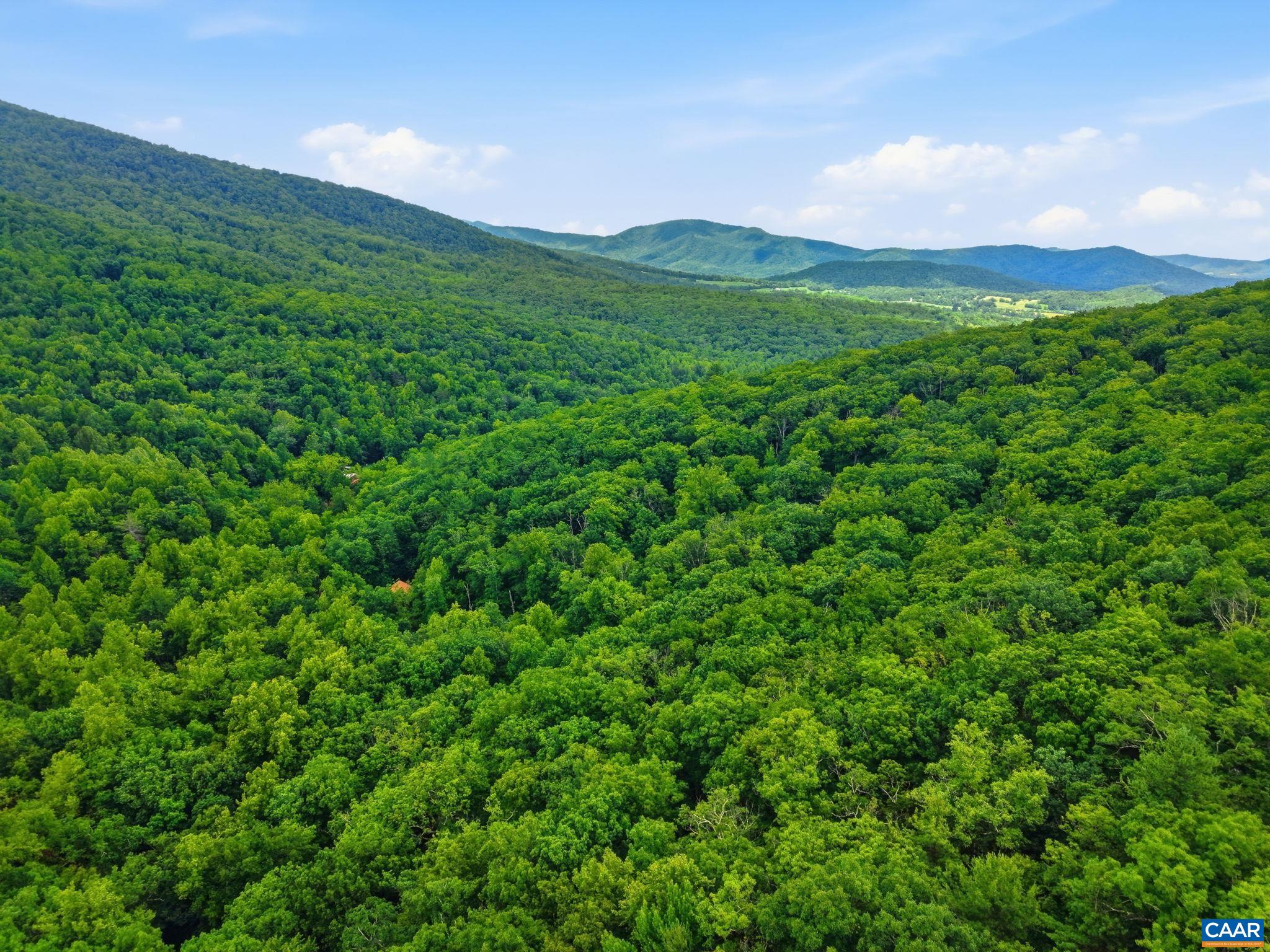 974 BULL YEARLING RD, STANARDSVILLE, Virginia 22973, 2 Bedrooms Bedrooms, ,1 BathroomBathrooms,Residential,The Mountains are Calling,974 BULL YEARLING RD,679069 MLS # 679069 974 BULL YEARLING RD, STANARDSVILLE, Virginia 22973, 2 Bedrooms Bedrooms, ,1 BathroomBathrooms,Residential,The Mountains are Calling,974 BULL YEARLING RD,679069 MLS # 679069