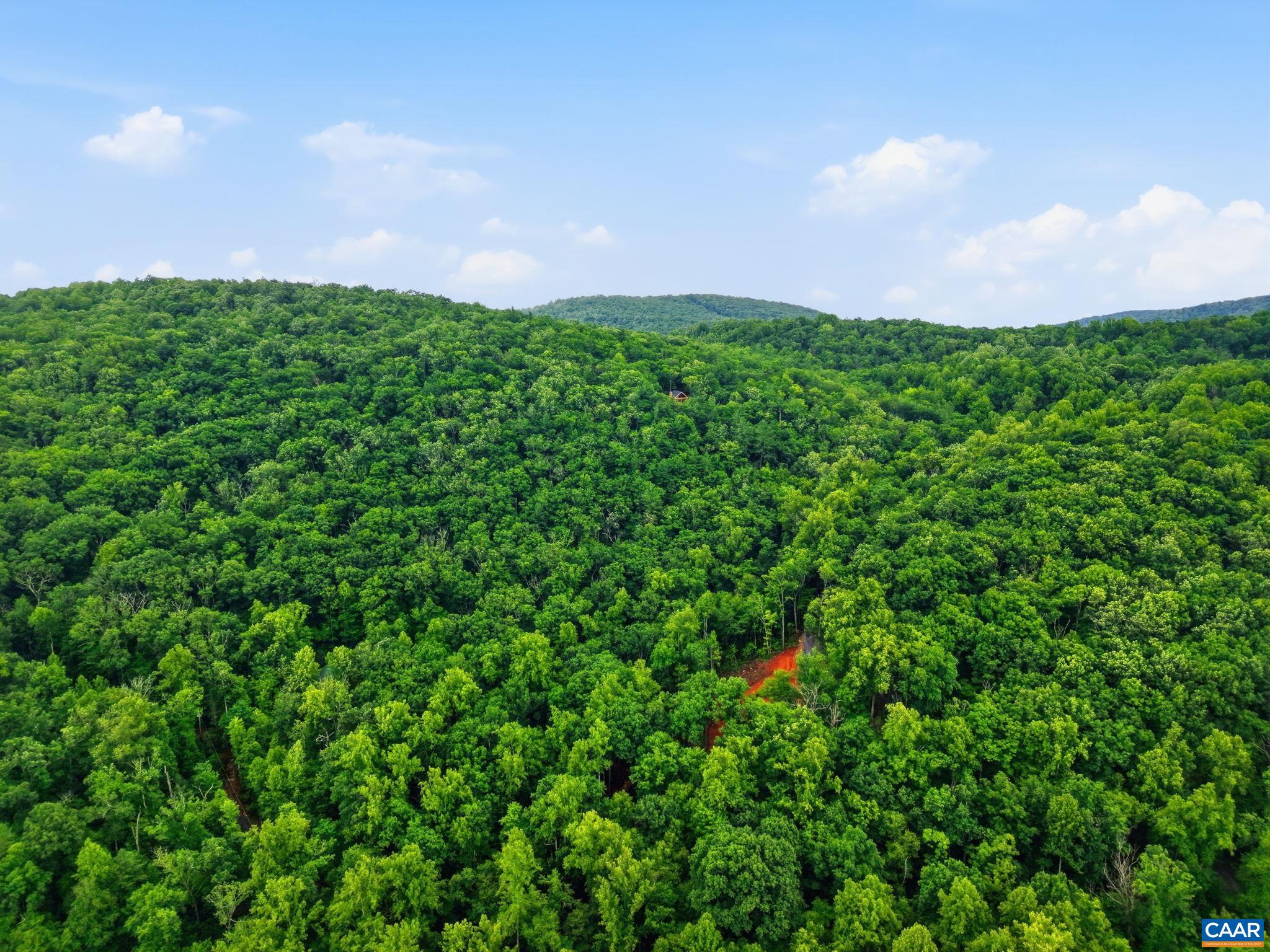 974 BULL YEARLING RD, STANARDSVILLE, Virginia 22973, 2 Bedrooms Bedrooms, ,1 BathroomBathrooms,Residential,The Mountains are Calling,974 BULL YEARLING RD,679069 MLS # 679069 974 BULL YEARLING RD, STANARDSVILLE, Virginia 22973, 2 Bedrooms Bedrooms, ,1 BathroomBathrooms,Residential,The Mountains are Calling,974 BULL YEARLING RD,679069 MLS # 679069