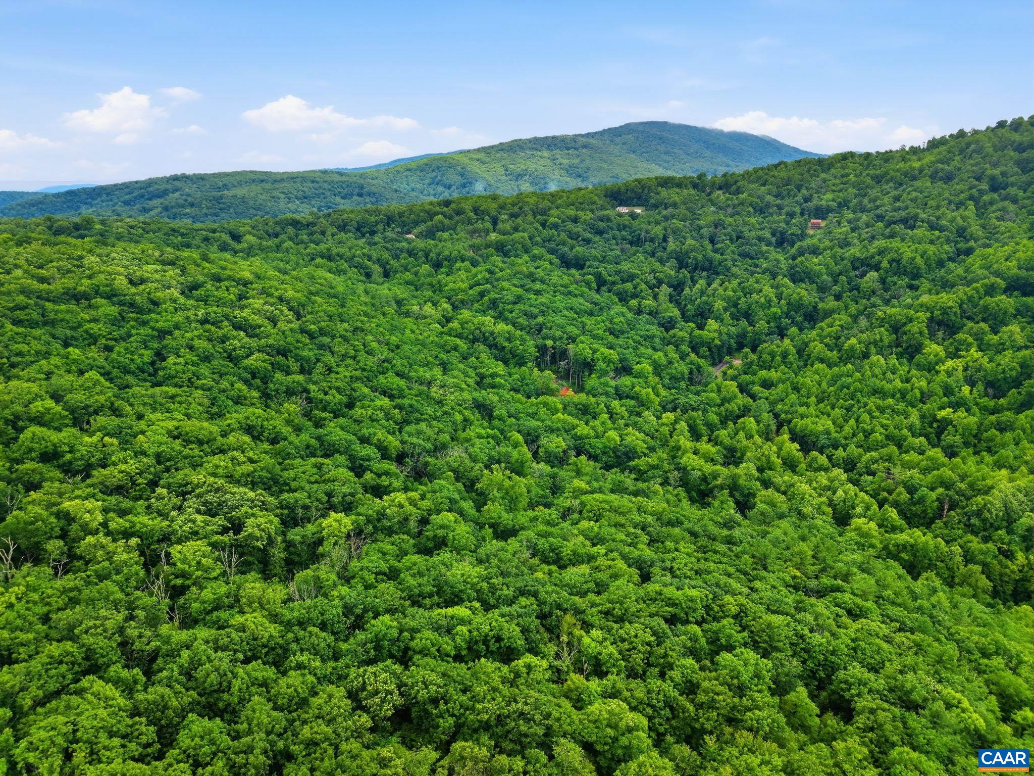 974 BULL YEARLING RD, STANARDSVILLE, Virginia 22973, 2 Bedrooms Bedrooms, ,1 BathroomBathrooms,Residential,The Mountains are Calling,974 BULL YEARLING RD,679069 MLS # 679069 974 BULL YEARLING RD, STANARDSVILLE, Virginia 22973, 2 Bedrooms Bedrooms, ,1 BathroomBathrooms,Residential,The Mountains are Calling,974 BULL YEARLING RD,679069 MLS # 679069