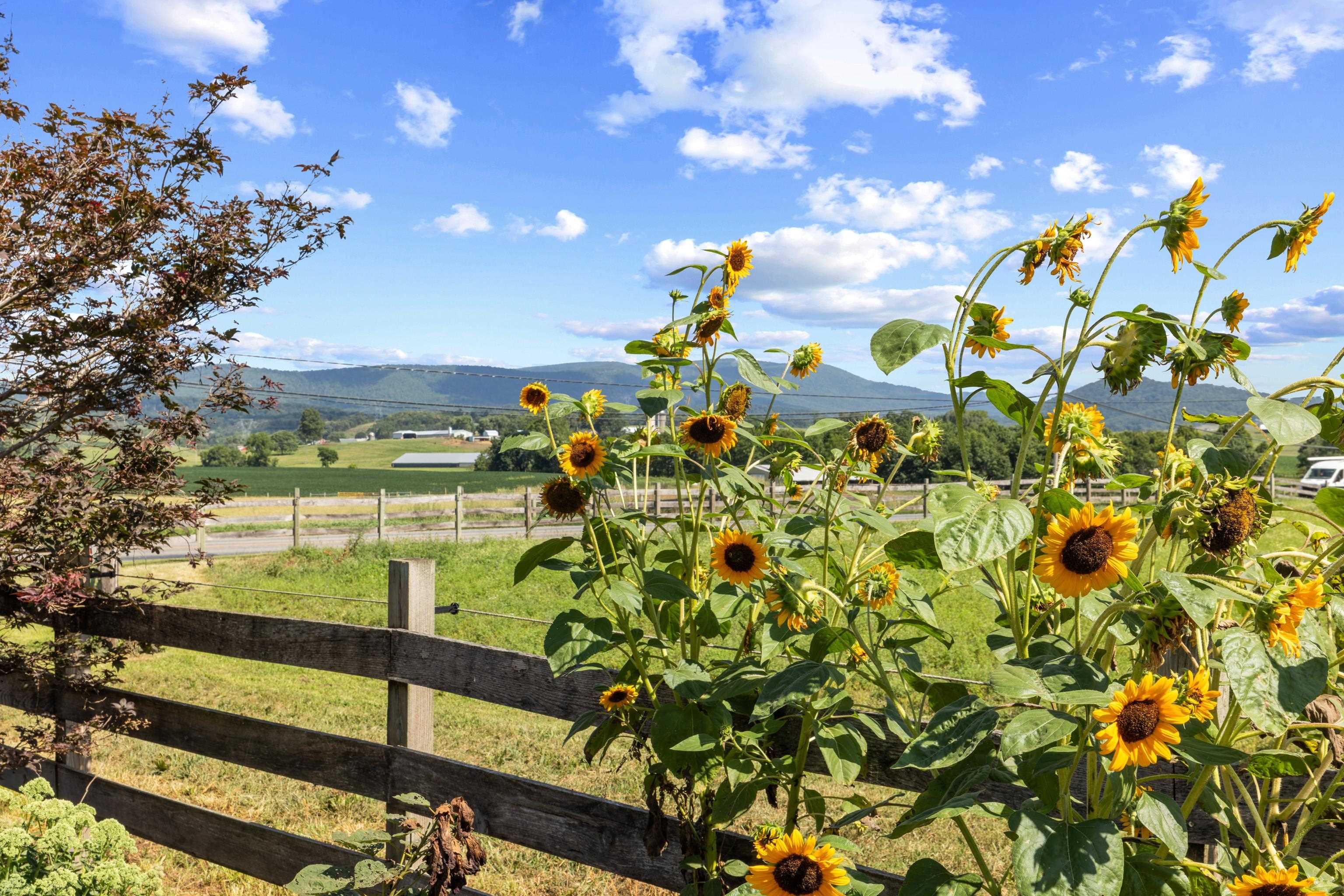 347 CLOVER HILL RD, DAYTON, Virginia 22821, 3 Bedrooms Bedrooms, ,2 BathroomsBathrooms,Residential,347 CLOVER HILL RD,680556 MLS # 680556