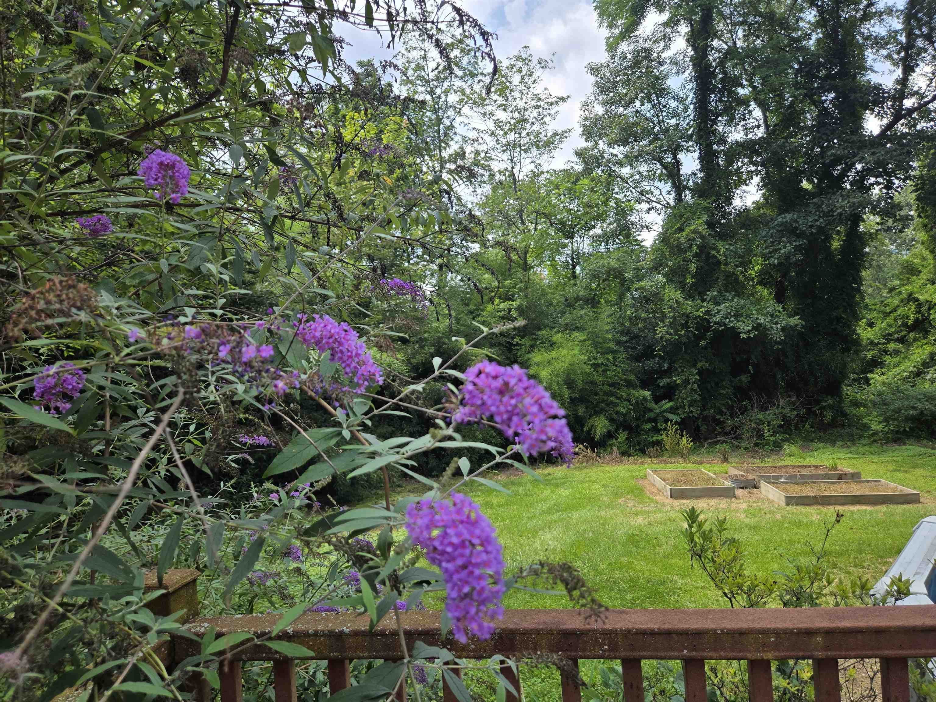604 OAK LEAF RD, LURAY, Virginia 22835, 3 Bedrooms Bedrooms, ,2 BathroomsBathrooms,Residential,604 OAK LEAF RD,680567 MLS # 680567