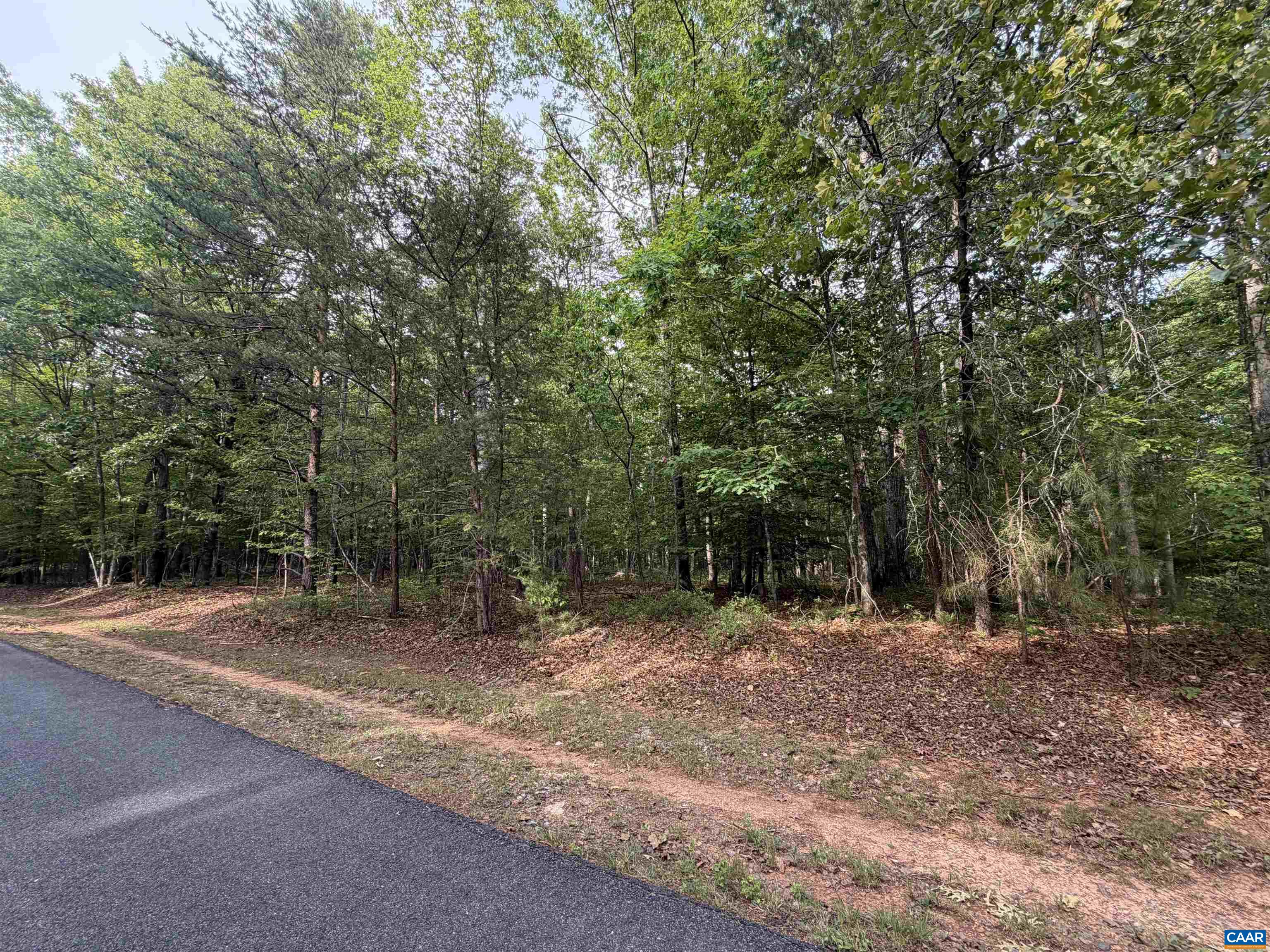 0 W PEBBLE BEACH RD, GORDONSVILLE, Virginia 22942, ,Land,0 W PEBBLE BEACH RD,677351 MLS # 677351 0 W PEBBLE BEACH RD, GORDONSVILLE, Virginia 22942, ,Land,0 W PEBBLE BEACH RD,677351 MLS # 677351