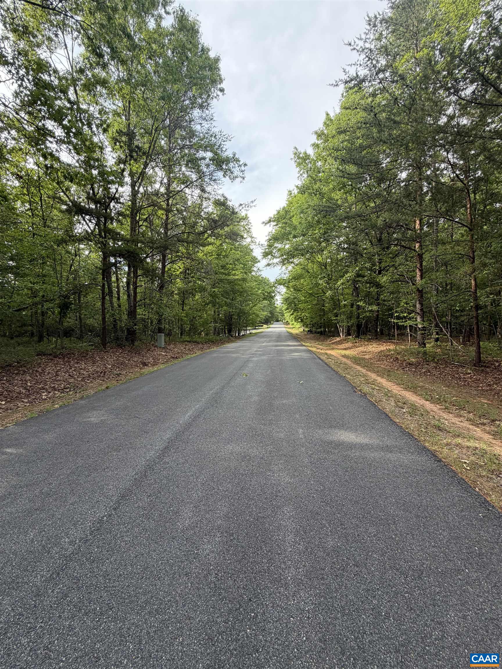 0 W PEBBLE BEACH RD, GORDONSVILLE, Virginia 22942, ,Land,0 W PEBBLE BEACH RD,677351 MLS # 677351 0 W PEBBLE BEACH RD, GORDONSVILLE, Virginia 22942, ,Land,0 W PEBBLE BEACH RD,677351 MLS # 677351