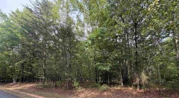 0 W PEBBLE BEACH RD, GORDONSVILLE, Virginia 22942, ,Land,0 W PEBBLE BEACH RD,677351 MLS # 677351