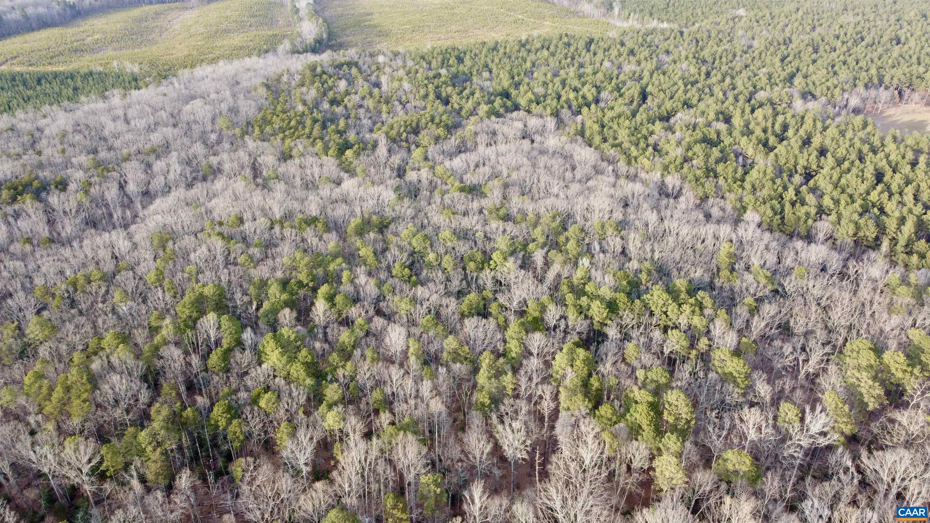 0 BEAVERDAM RD, BEAVERDAM, Virginia 23015, ,Farm,0 BEAVERDAM RD,680594 MLS # 680594 0 BEAVERDAM RD, BEAVERDAM, Virginia 23015, ,Farm,0 BEAVERDAM RD,680594 MLS # 680594