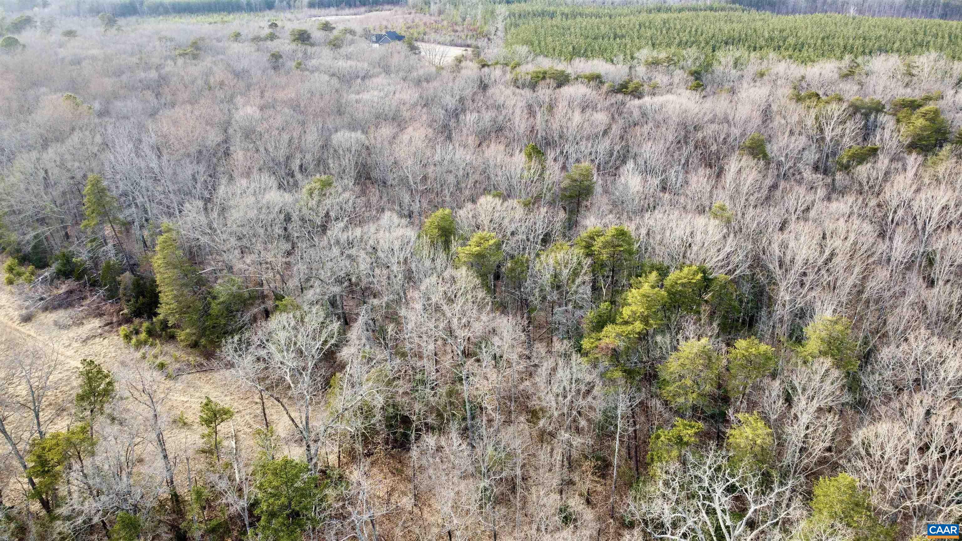 0 BEAVERDAM RD, BEAVERDAM, Virginia 23015, ,Farm,0 BEAVERDAM RD,680594 MLS # 680594 0 BEAVERDAM RD, BEAVERDAM, Virginia 23015, ,Farm,0 BEAVERDAM RD,680594 MLS # 680594