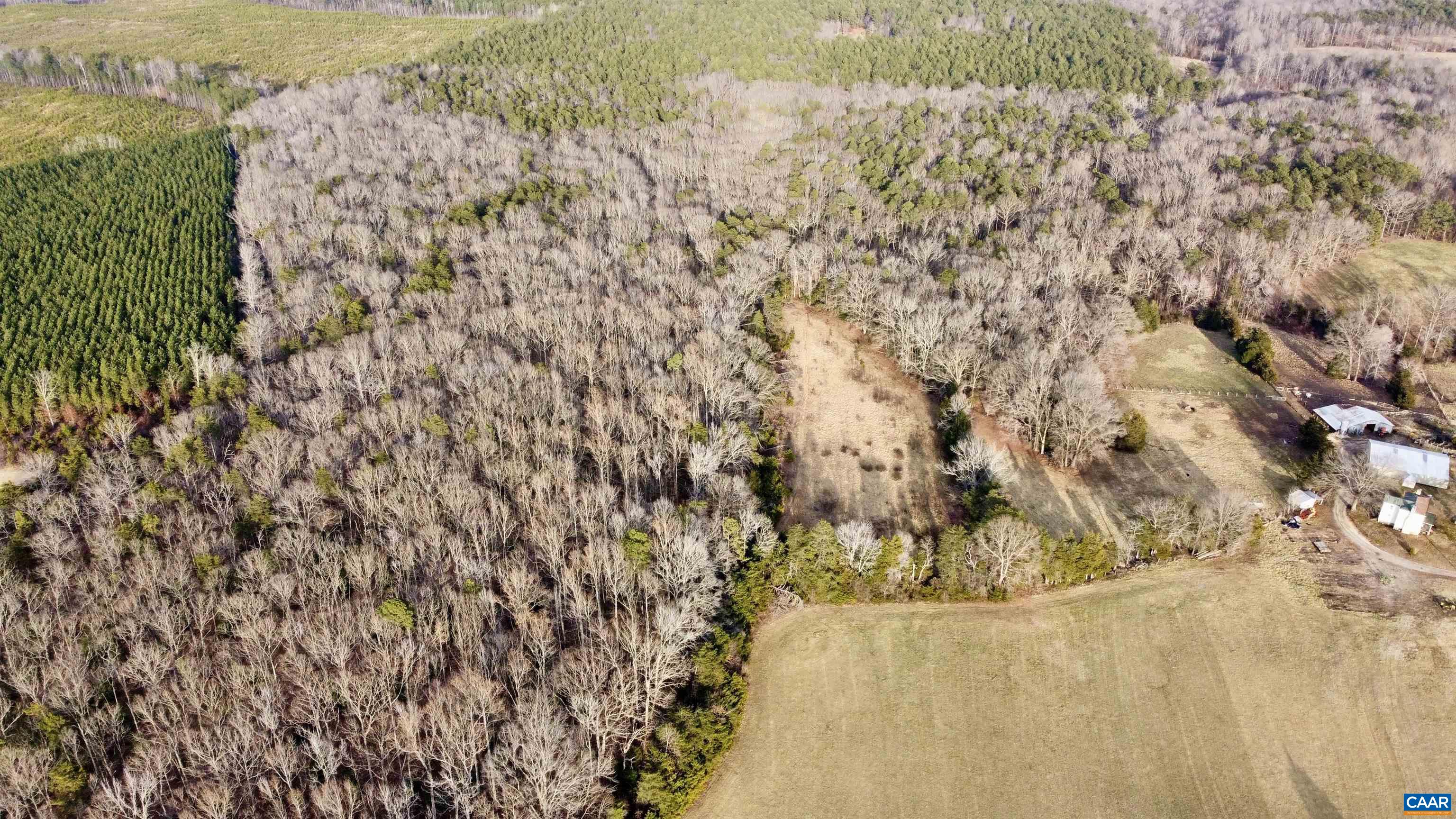 0 BEAVERDAM RD, BEAVERDAM, Virginia 23015, ,Farm,0 BEAVERDAM RD,680594 MLS # 680594 0 BEAVERDAM RD, BEAVERDAM, Virginia 23015, ,Farm,0 BEAVERDAM RD,680594 MLS # 680594
